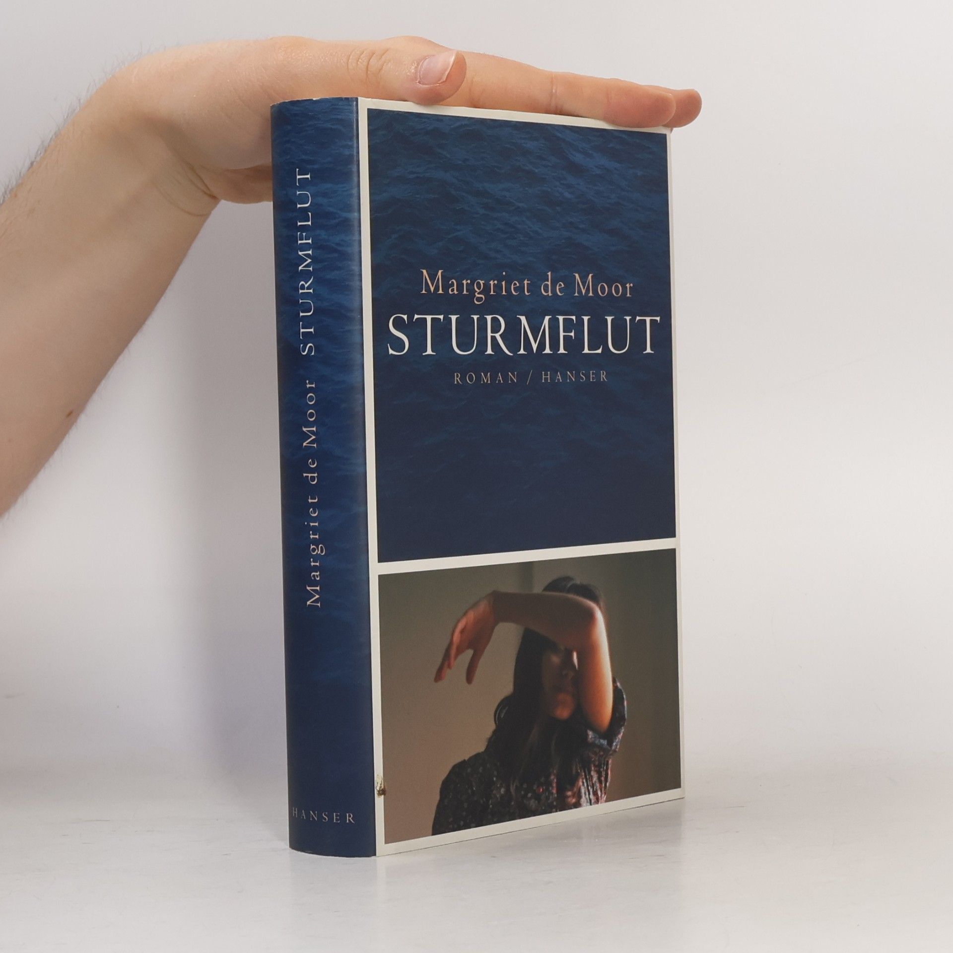 Margriet de Moor Sturmflut