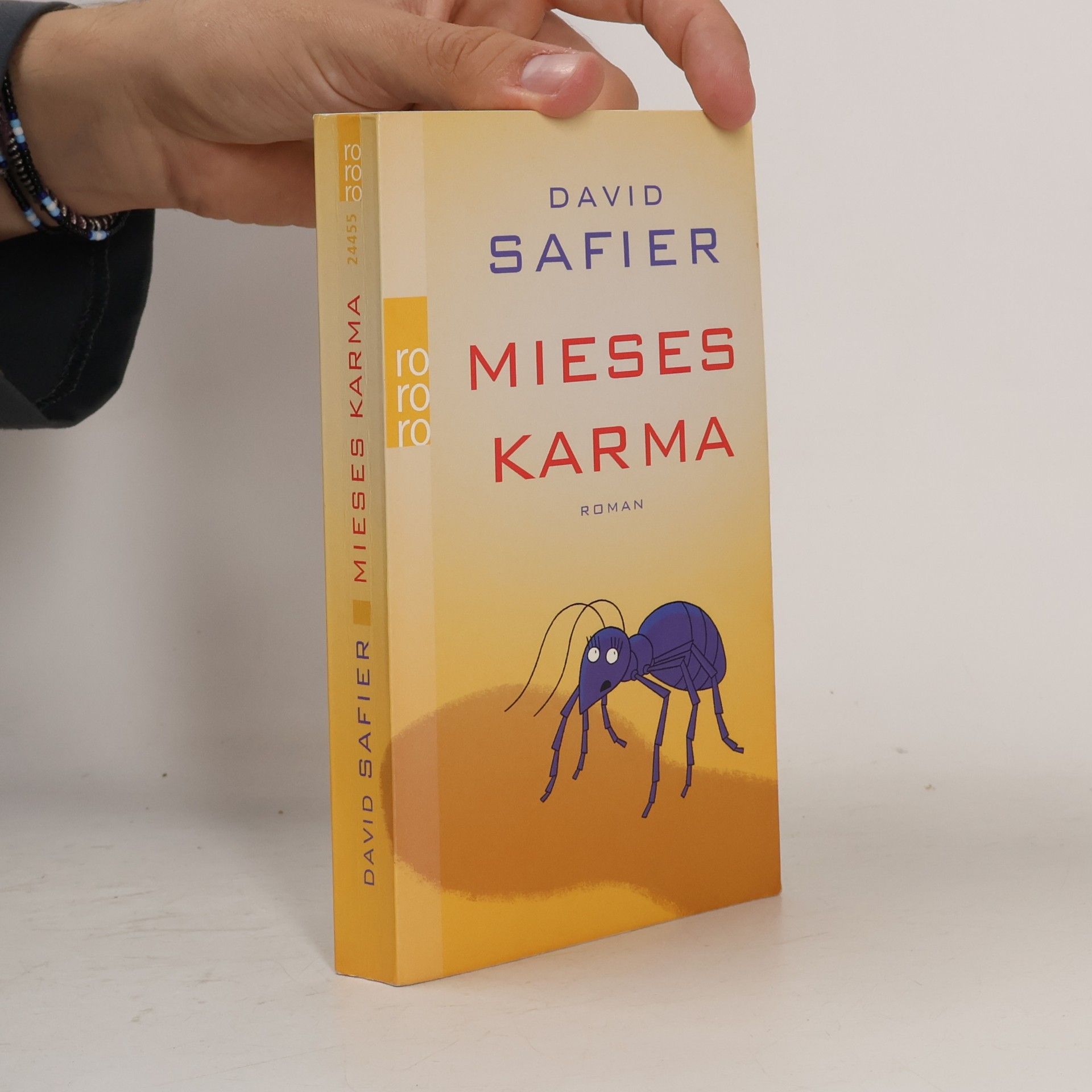 David Safier Mieses Karma