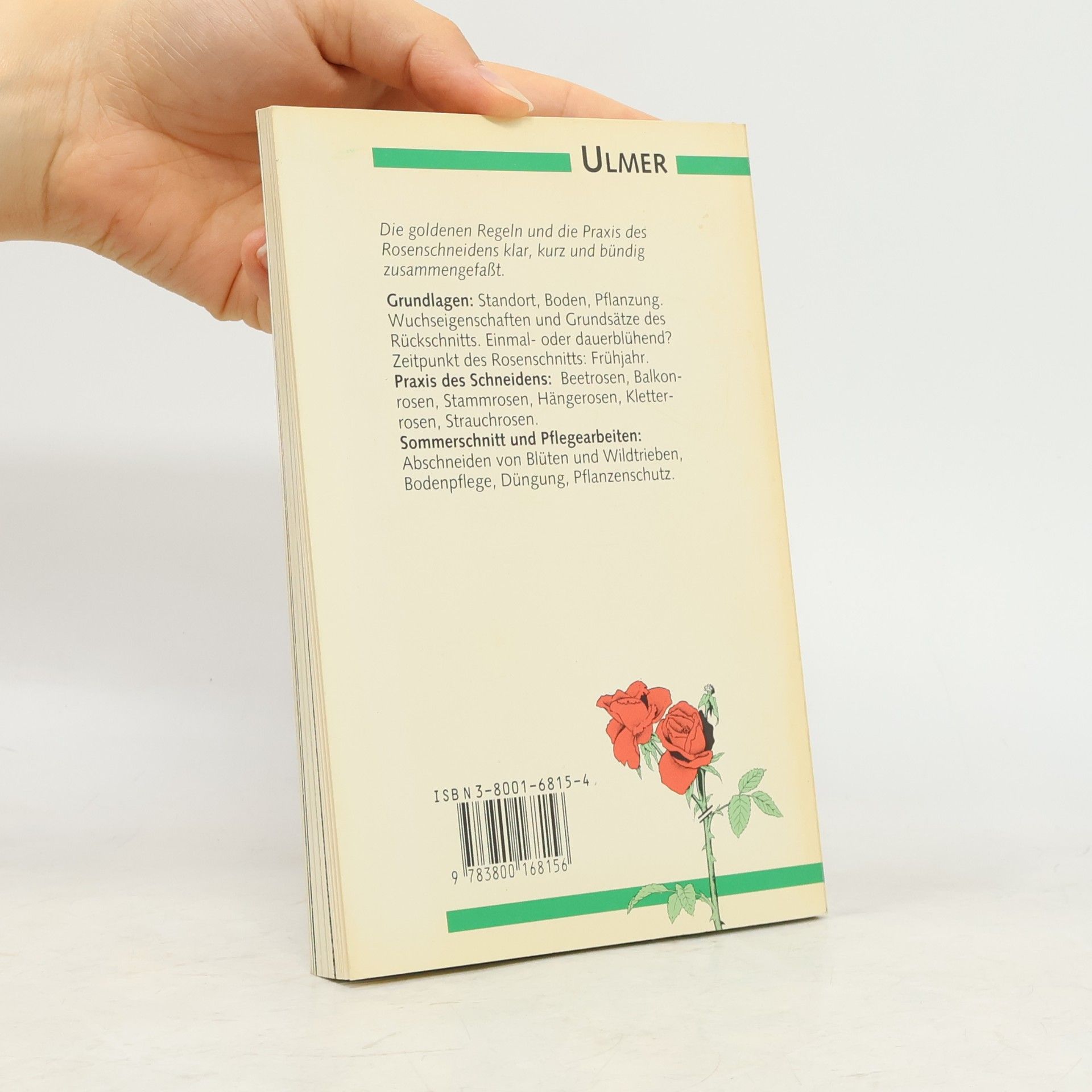 Dietrich Woessner Das Schneiden der Rosen