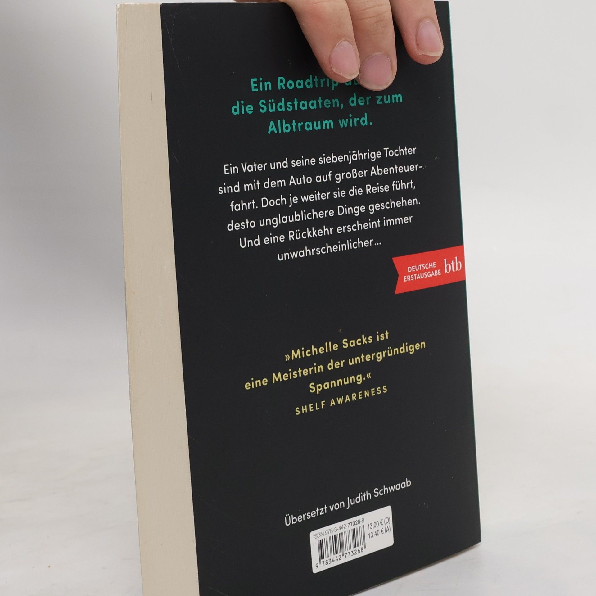 Michelle Sacks Was verloren ist