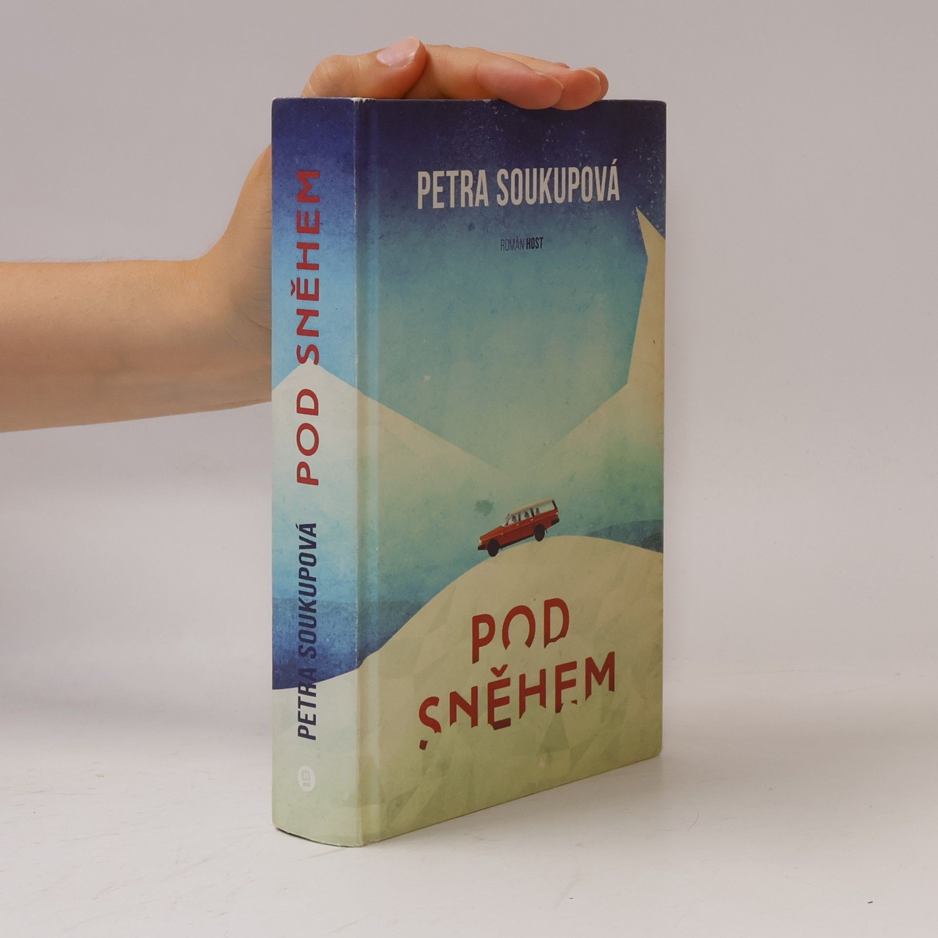 Pod sněhem
