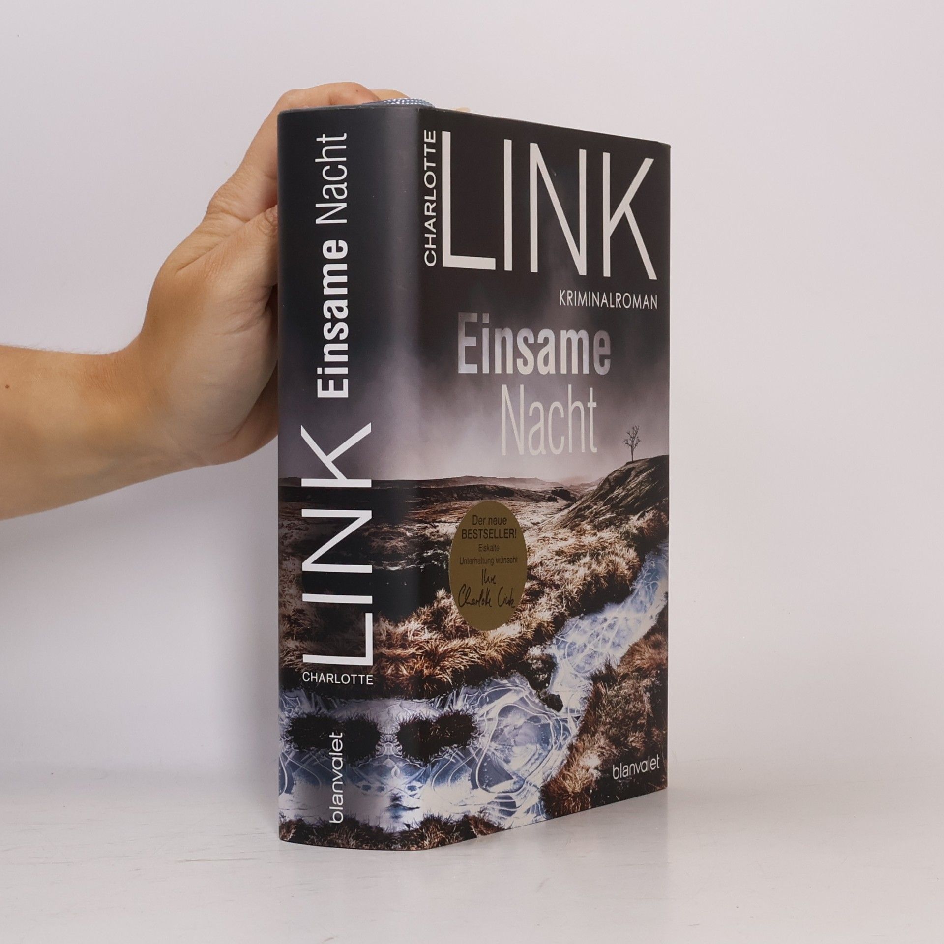 Charlotte Link Einsame Nacht
