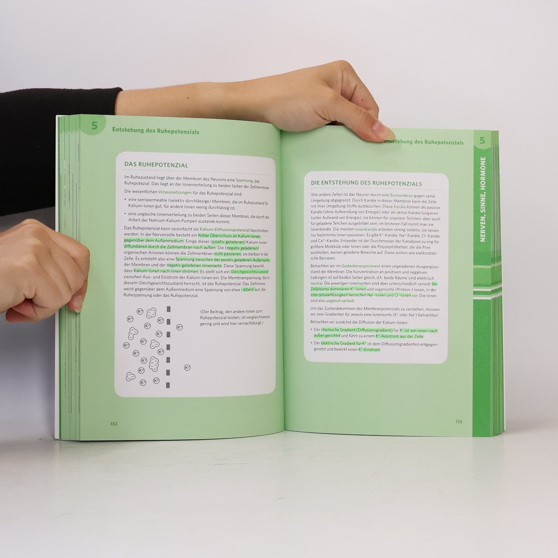 Jürgen Christner Der große Abi-Check Biologie