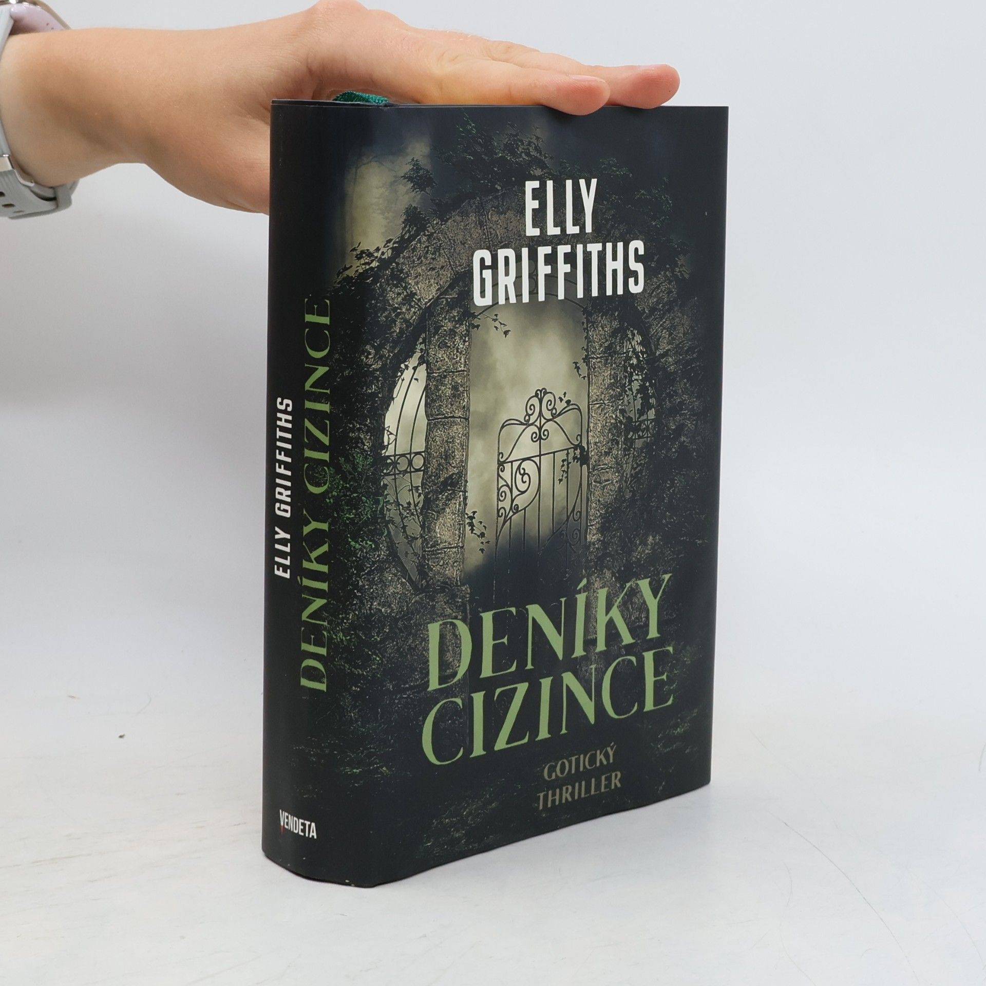 Deníky cizince
