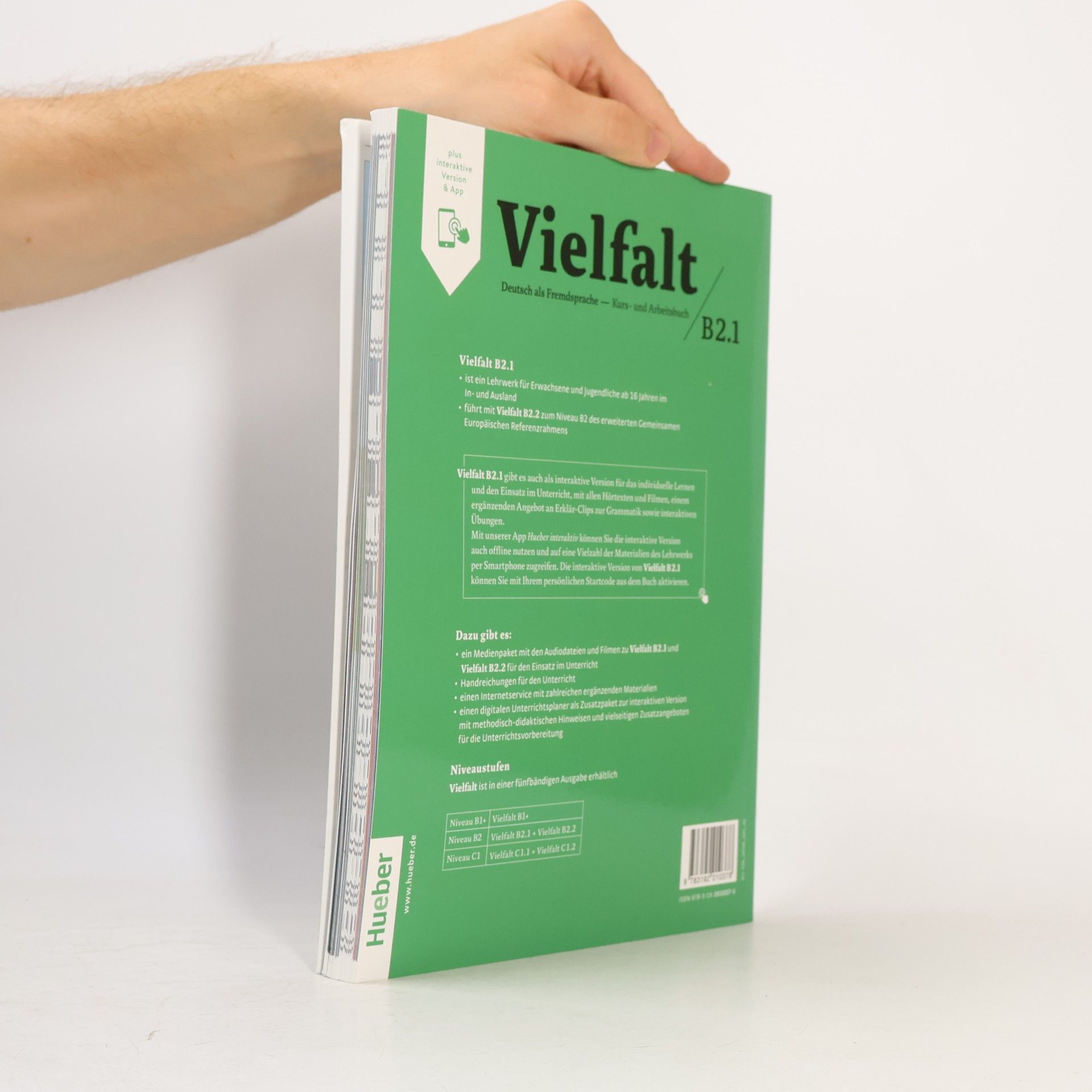 Kolektív autorov Vielfalt: Deutsch als Fremdsprache B 2.1