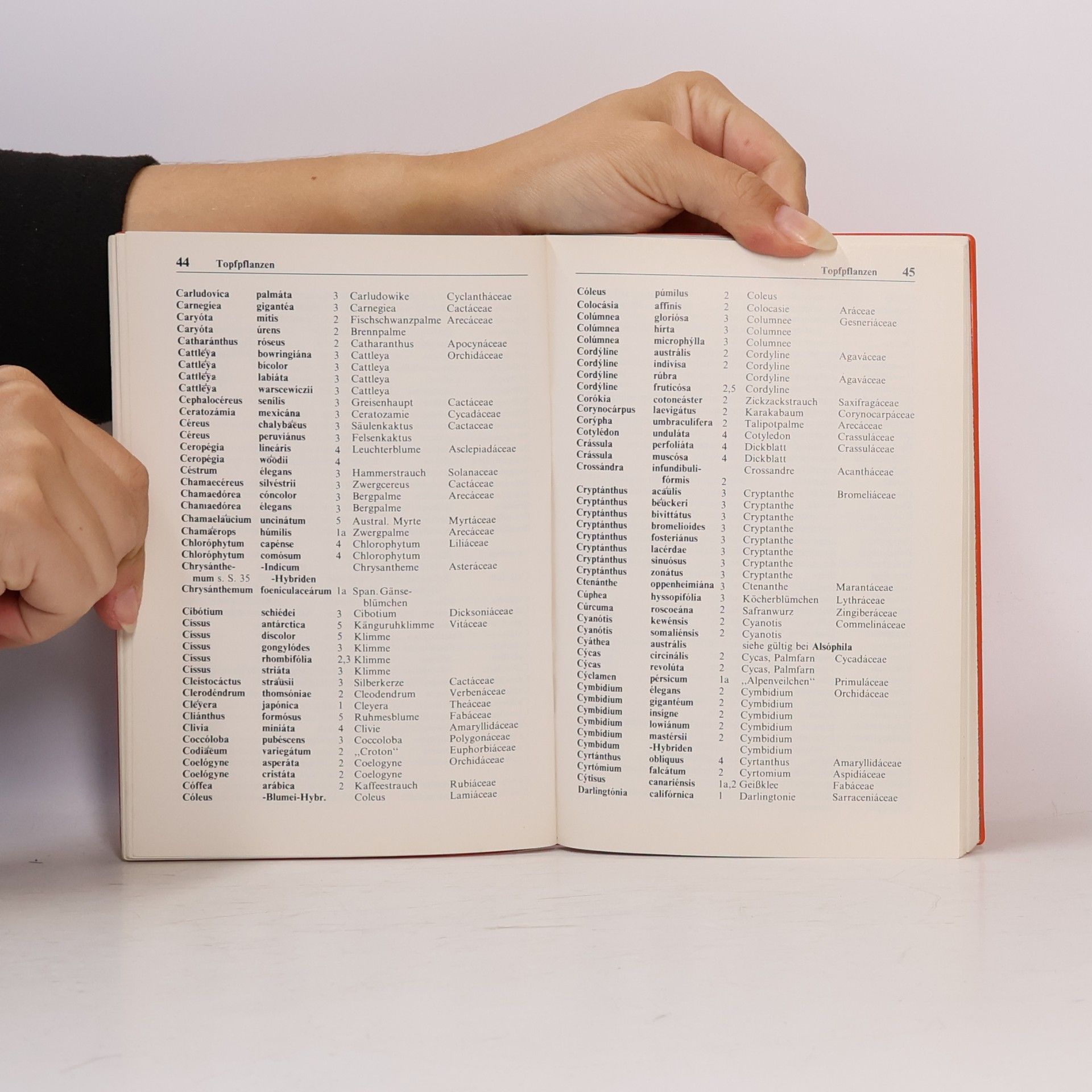 Hans Jessen Botanisches Wörterbuch für Gärtner und Floristen