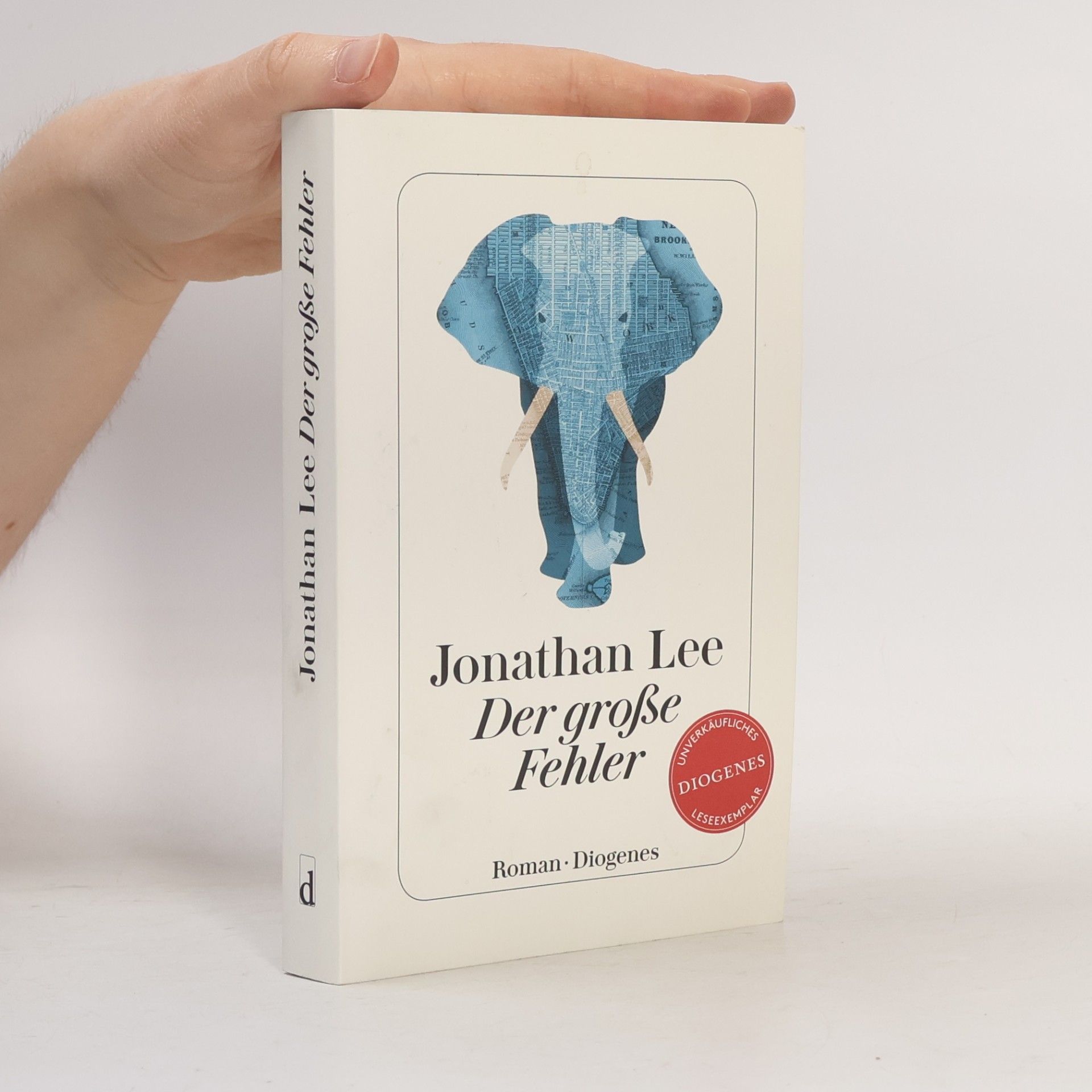 Jonathan Lee Der große Fehler