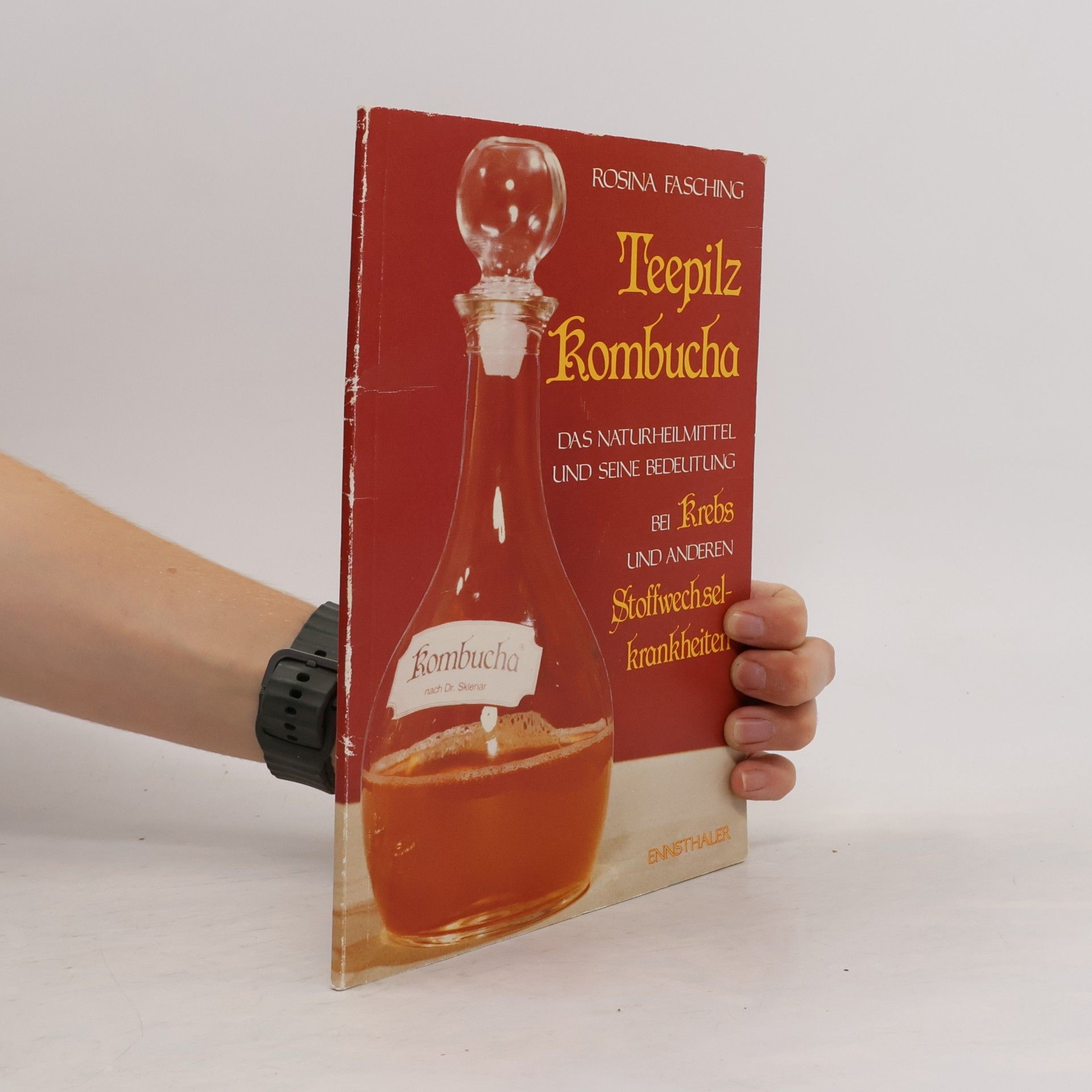 Teepilz Kombucha
