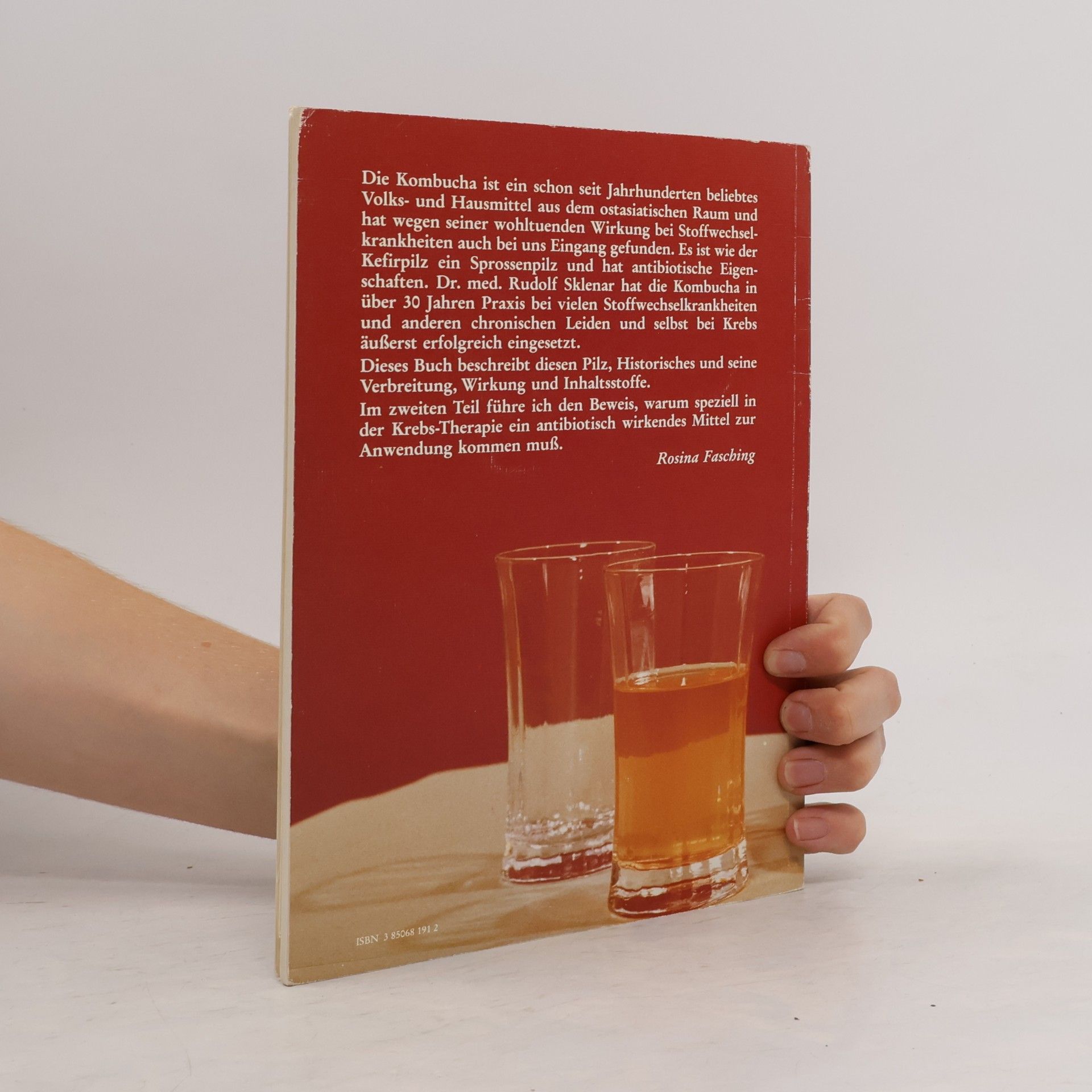Rosina Fasching Teepilz Kombucha