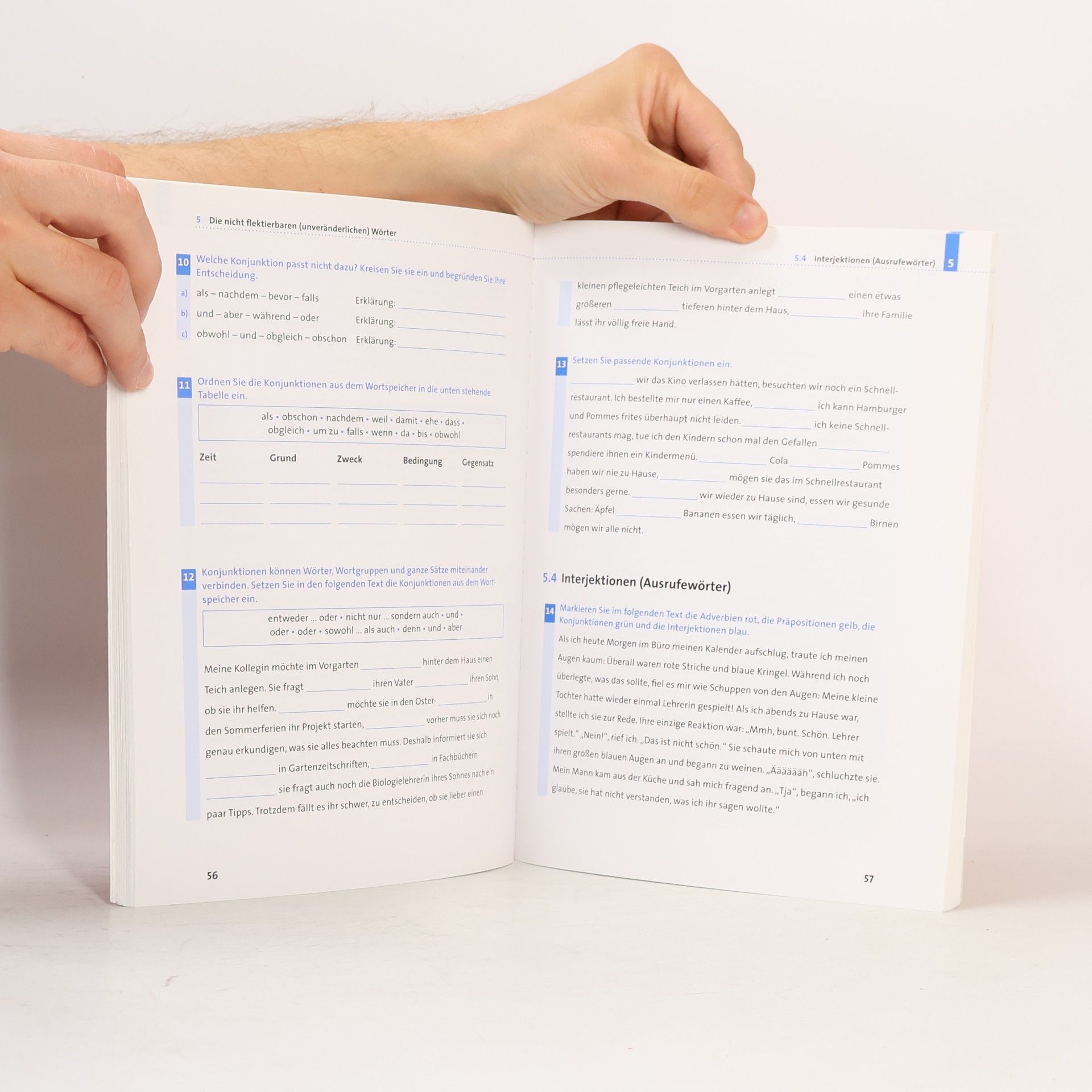 Anja Steinhauer Duden, Crashkurs Grammatik