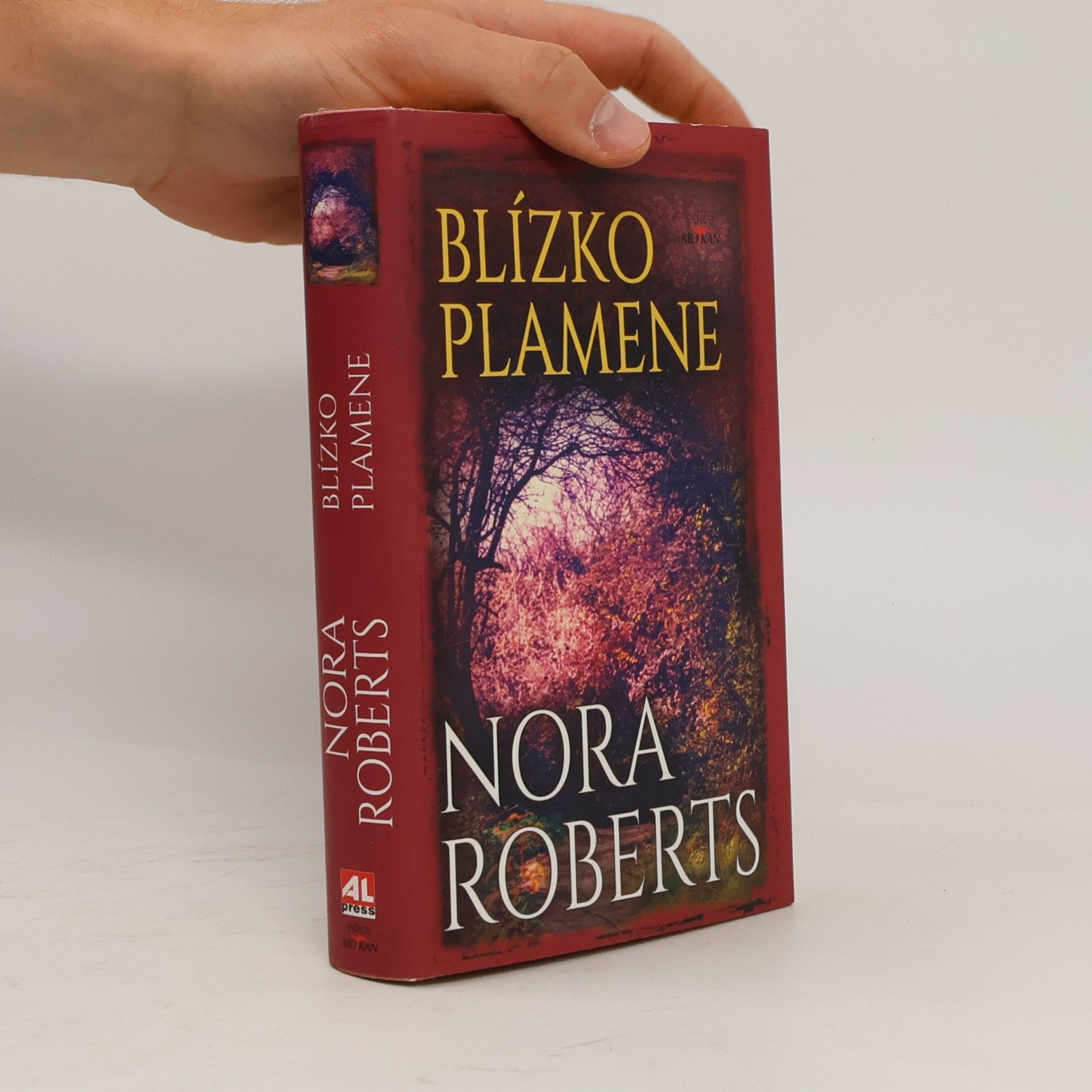 Nora Roberts Blízko plamene