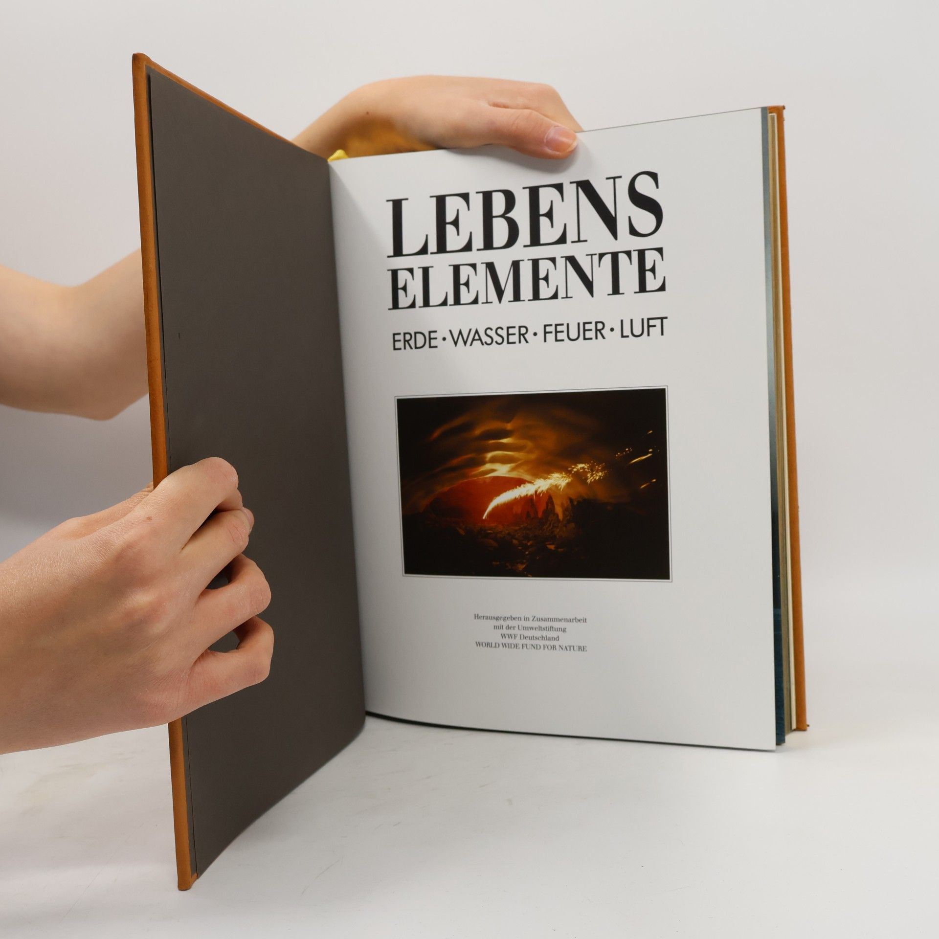 Autorenkollektiv Lebenslemente: Erde, Wasser, Feuer, Luft