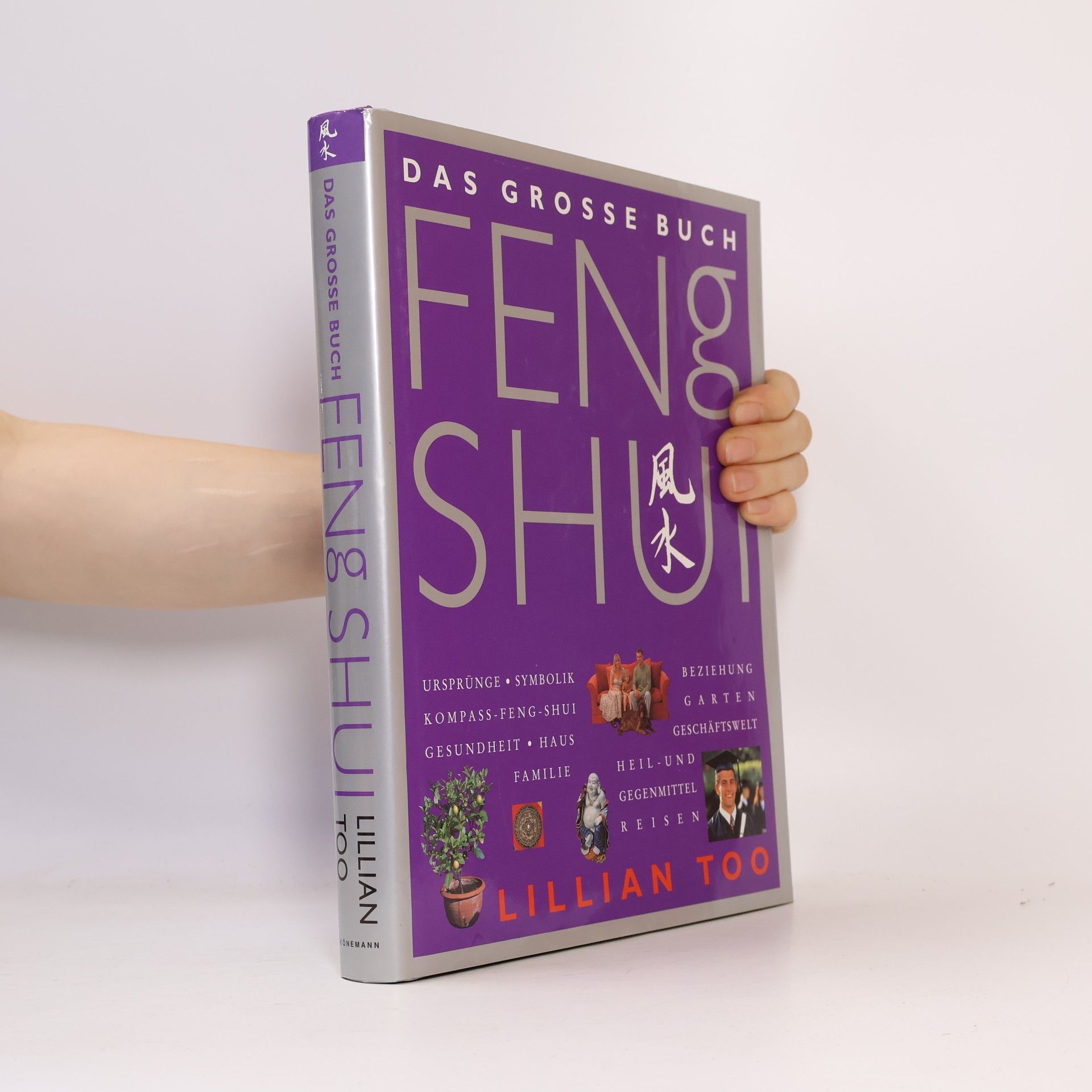 Das grosse Buch Feng Shui