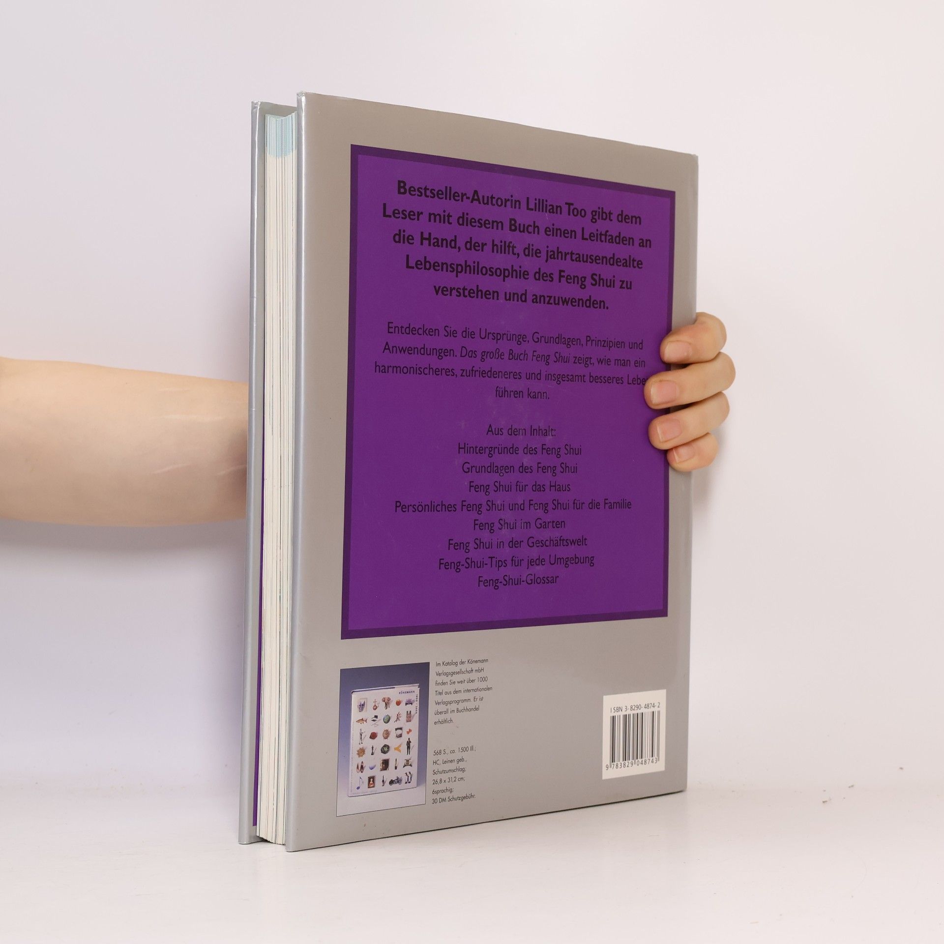 Lillian Too Das grosse Buch Feng Shui