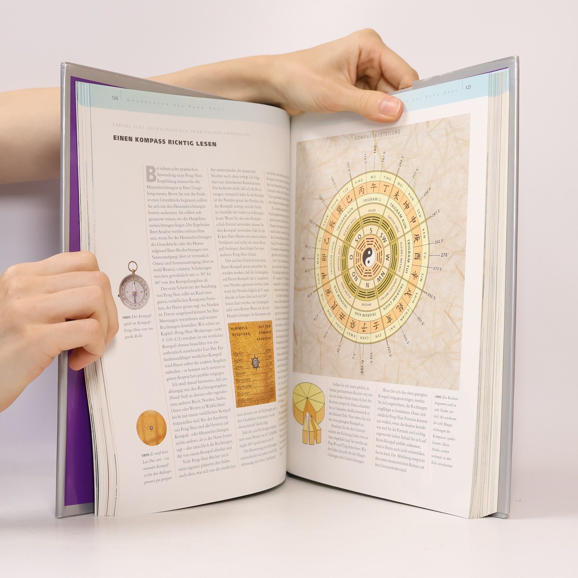 Lillian Too Das grosse Buch Feng Shui