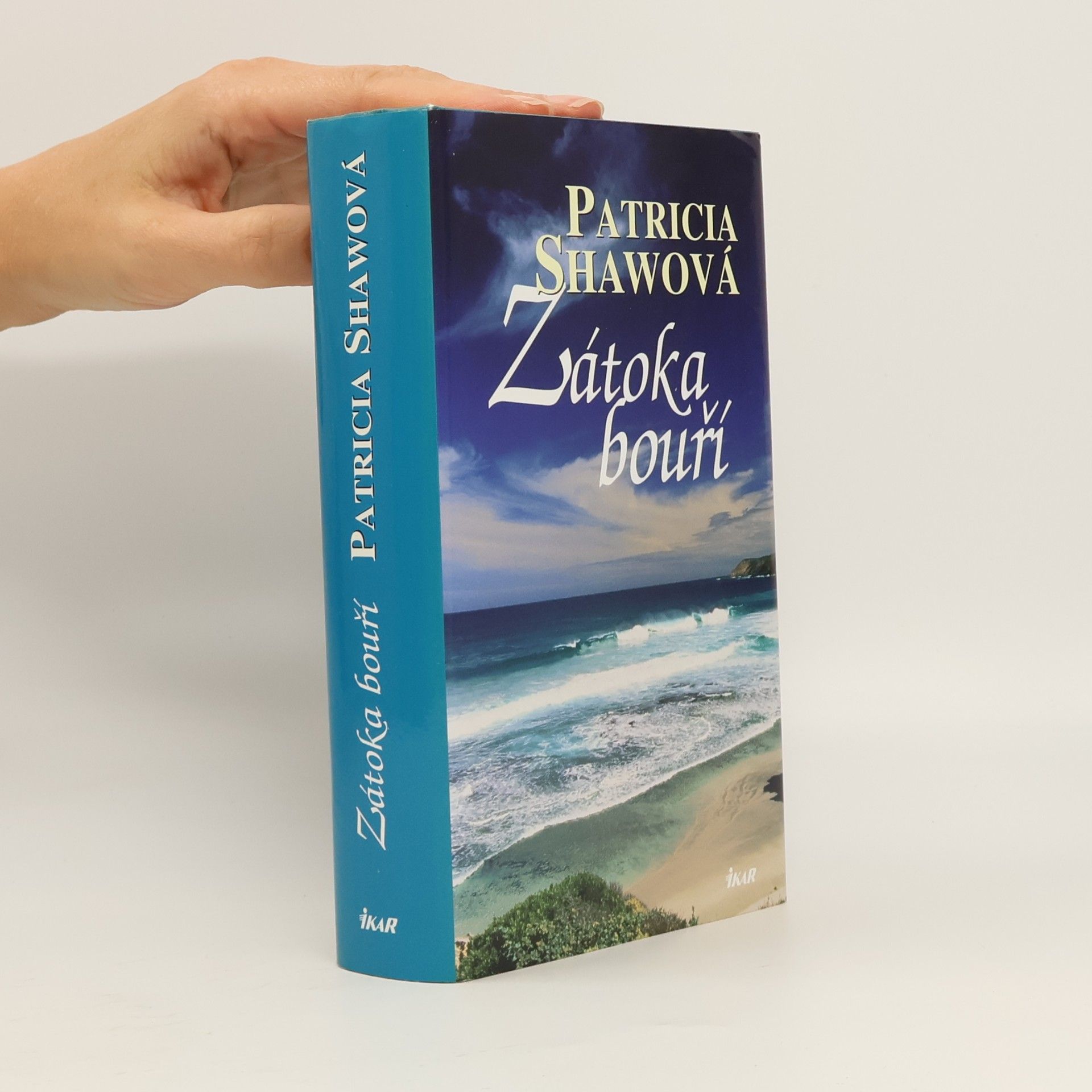 Patricia Shaw Zátoka bouří