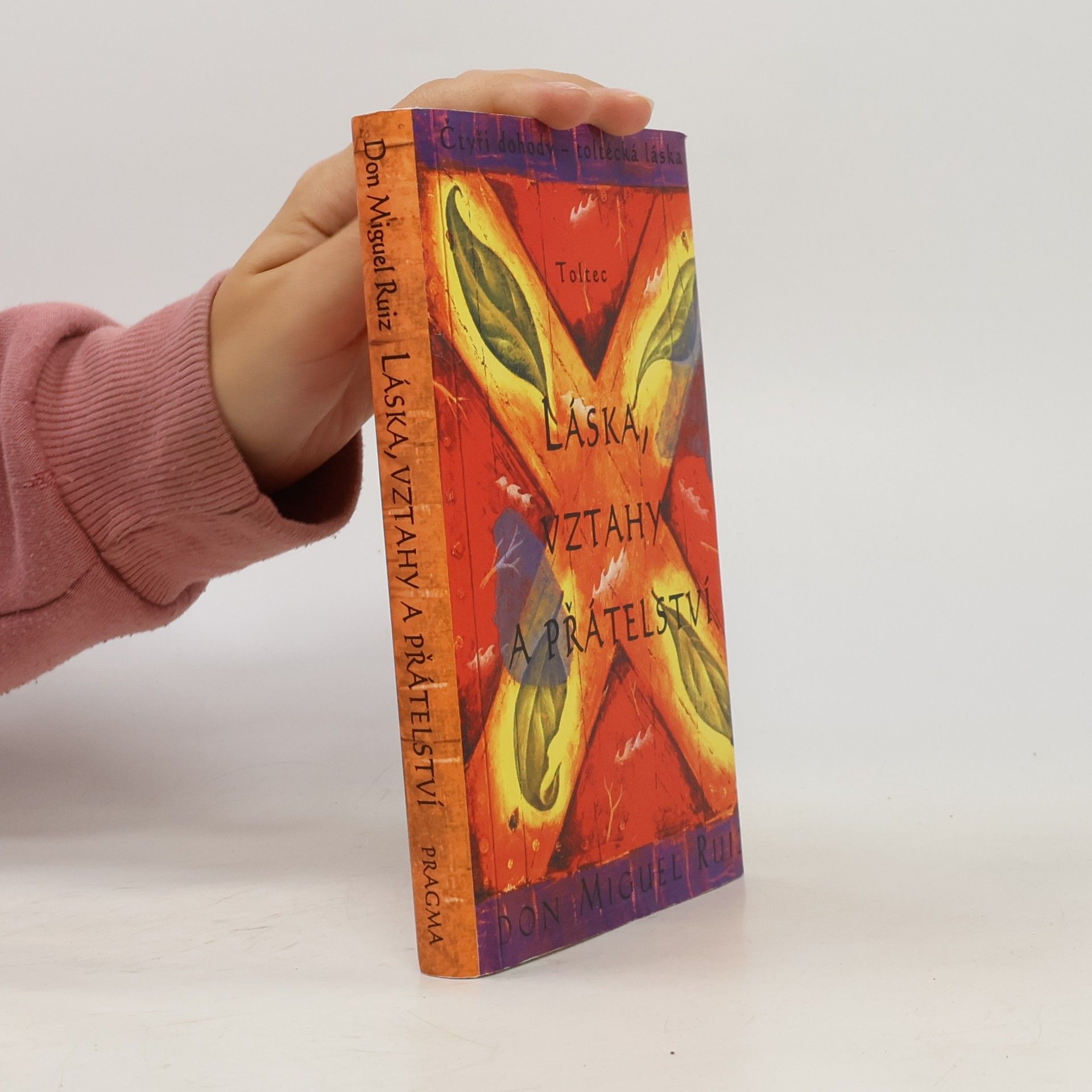 Don Miguel Ruiz Láska, vztahy a přátelství