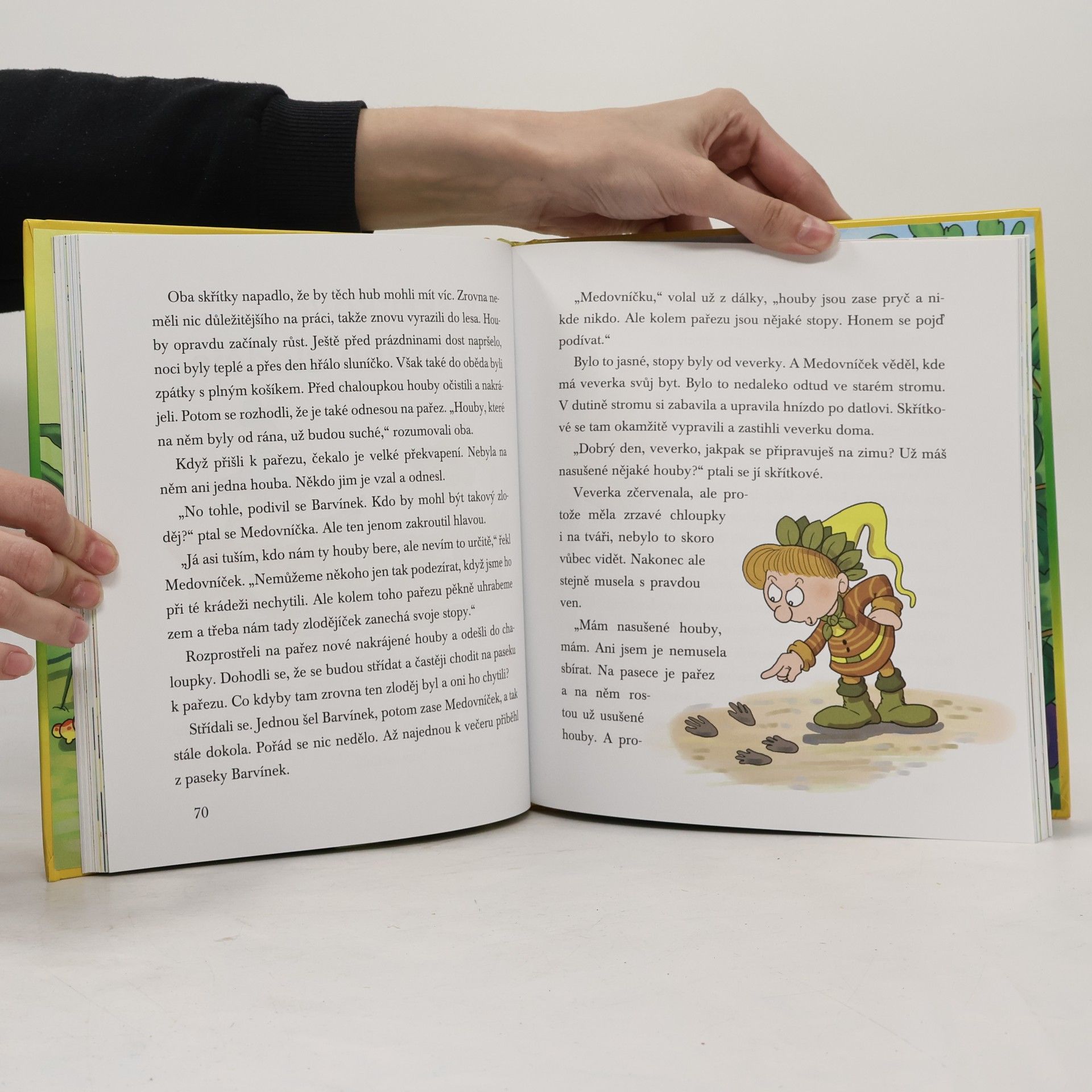 Jan Lebeda Pohádky skřítků Medovníčka a Barvínka