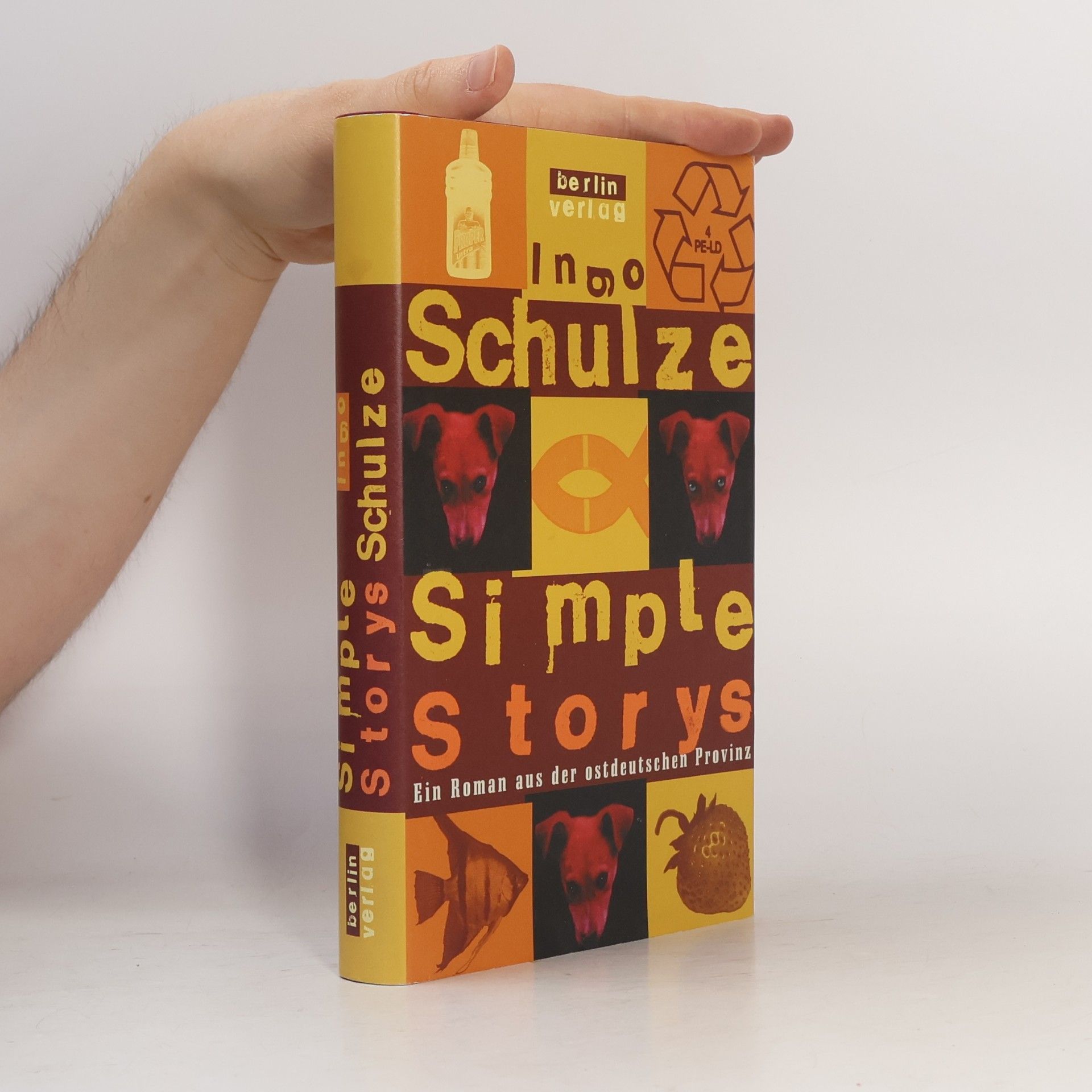 Ingo Schulze Simple Storys