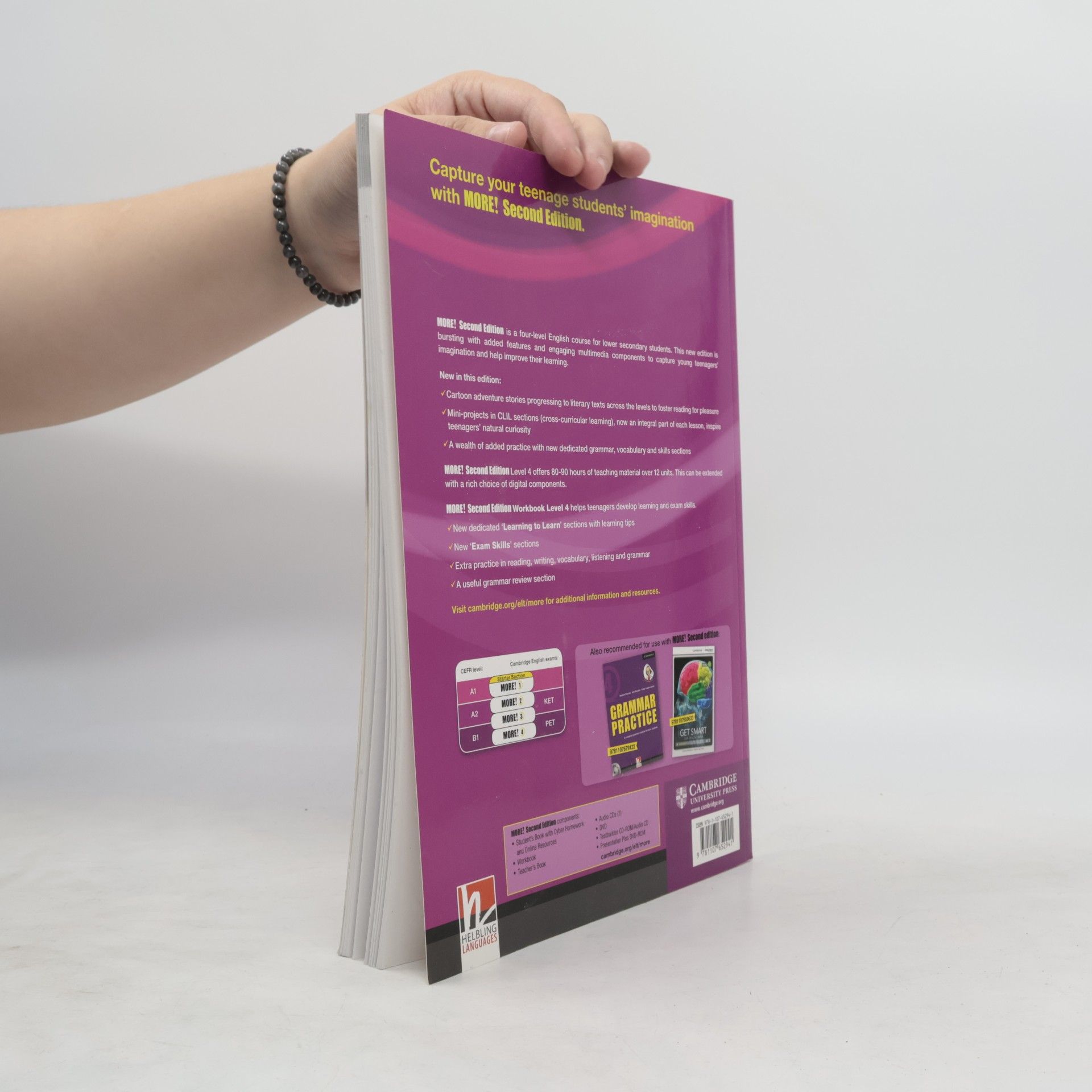 Herbert Puchta More! Level 4 Workbook