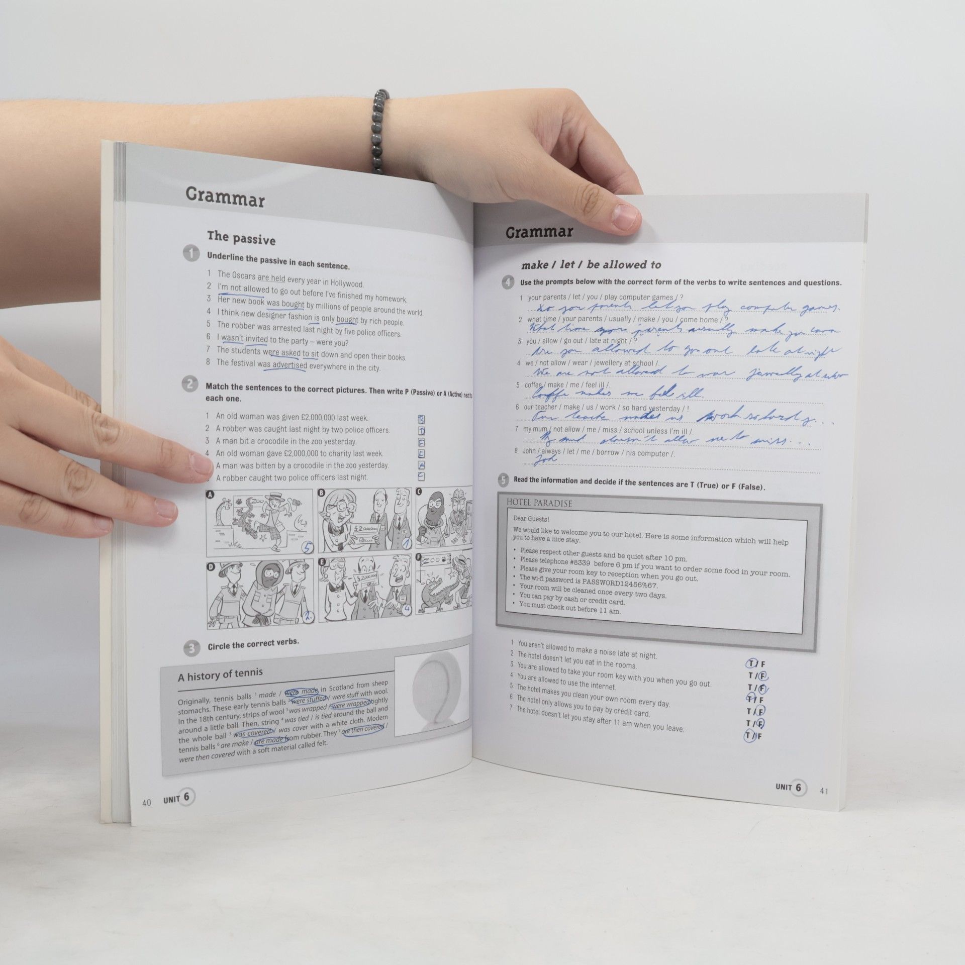 Herbert Puchta More! Level 4 Workbook