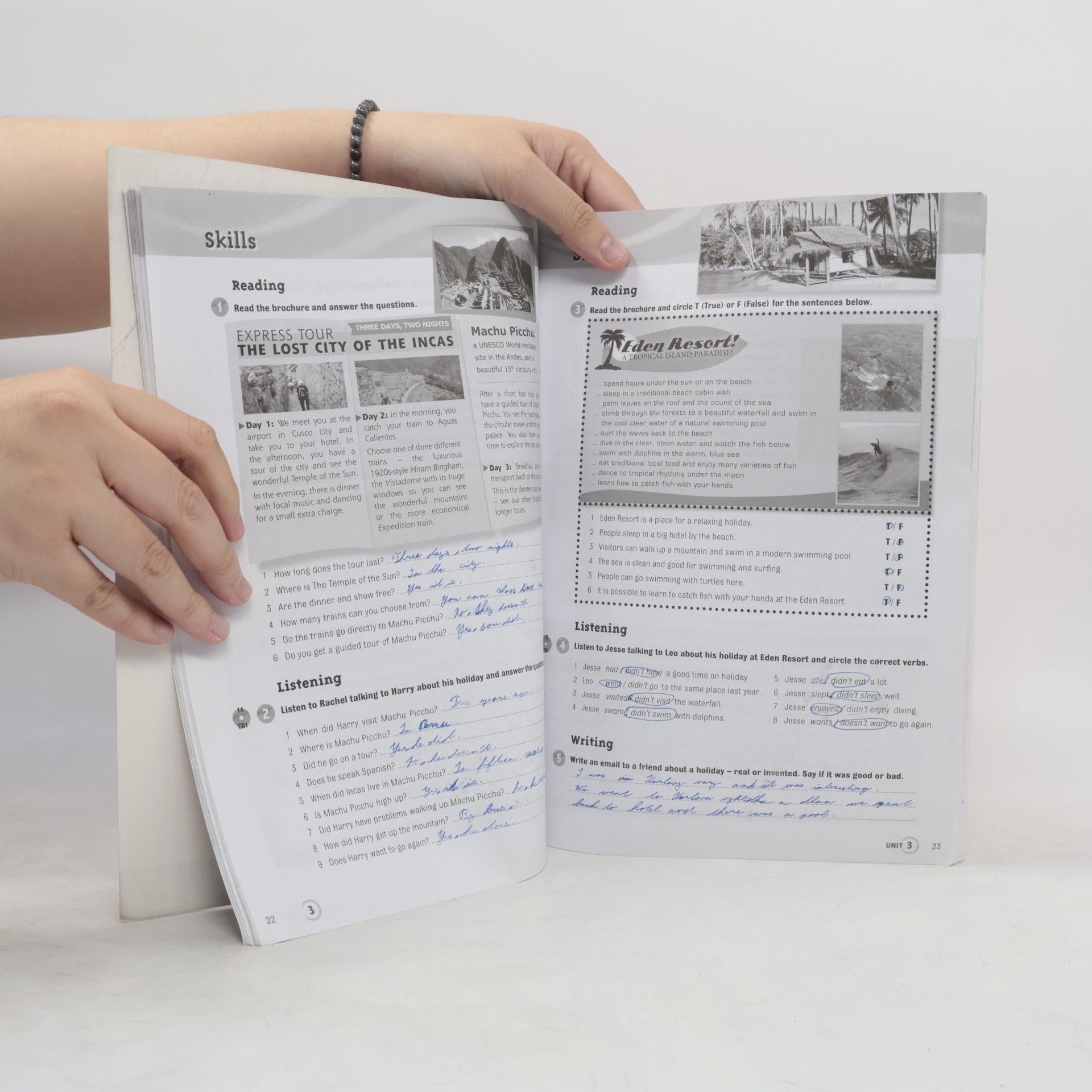 Herbert Puchta More! Level 2 Workbook