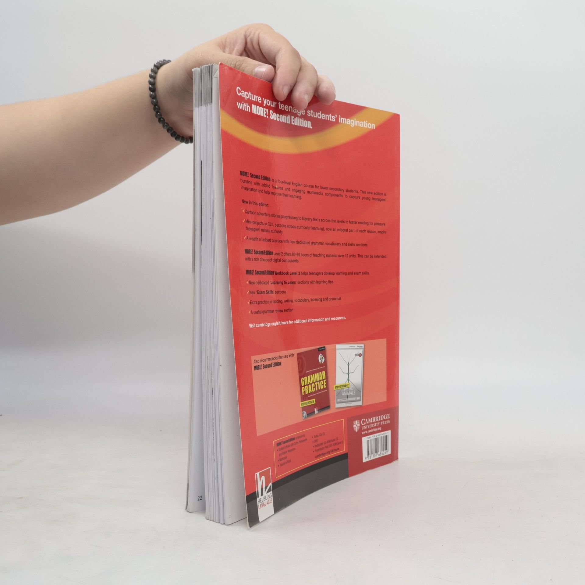 Herbert Puchta More! Level 2 Workbook