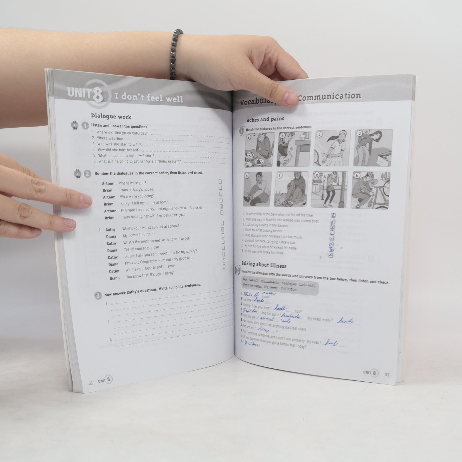 Herbert Puchta More! Level 2 Workbook