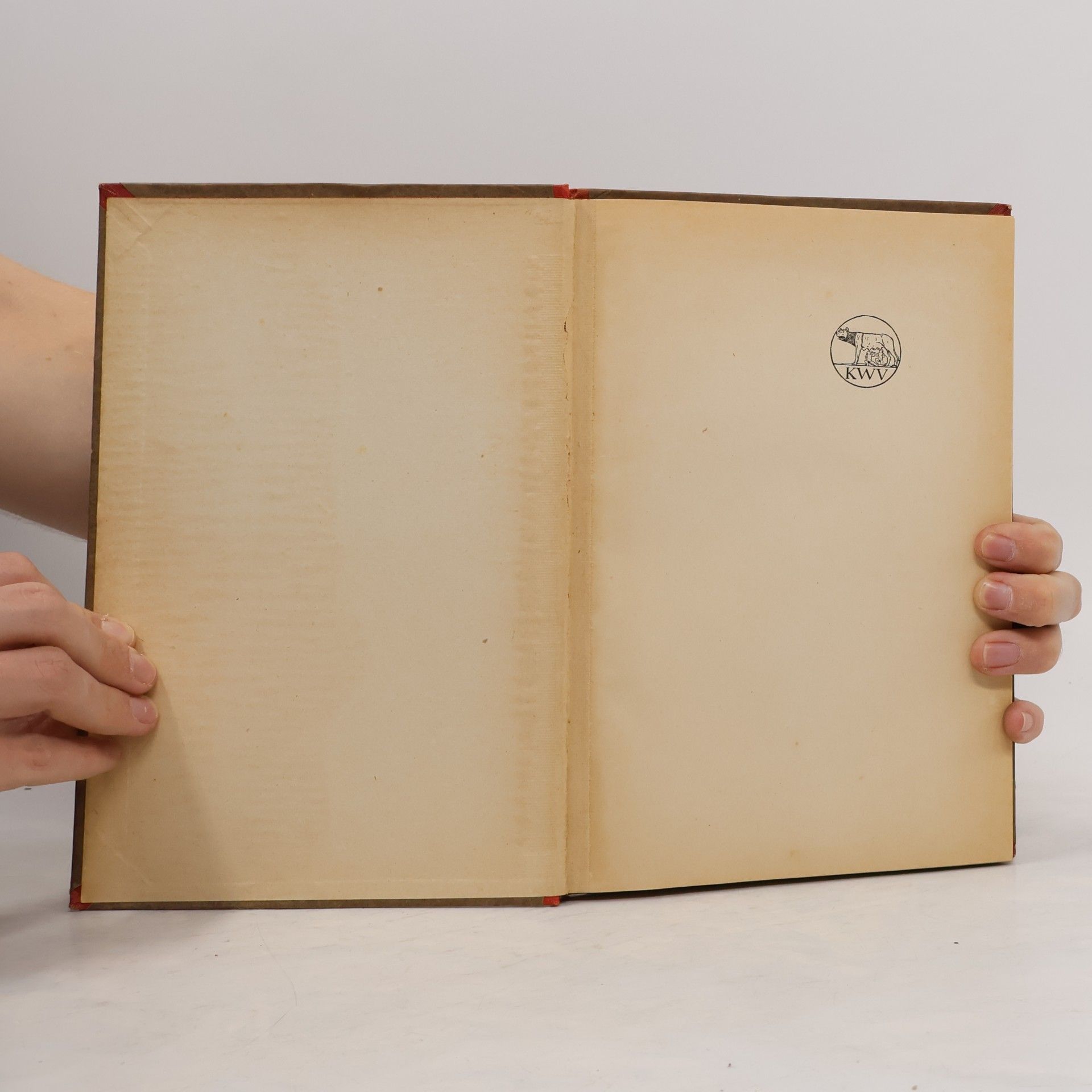 Rabindranath Tagore Der zunehmende Mond