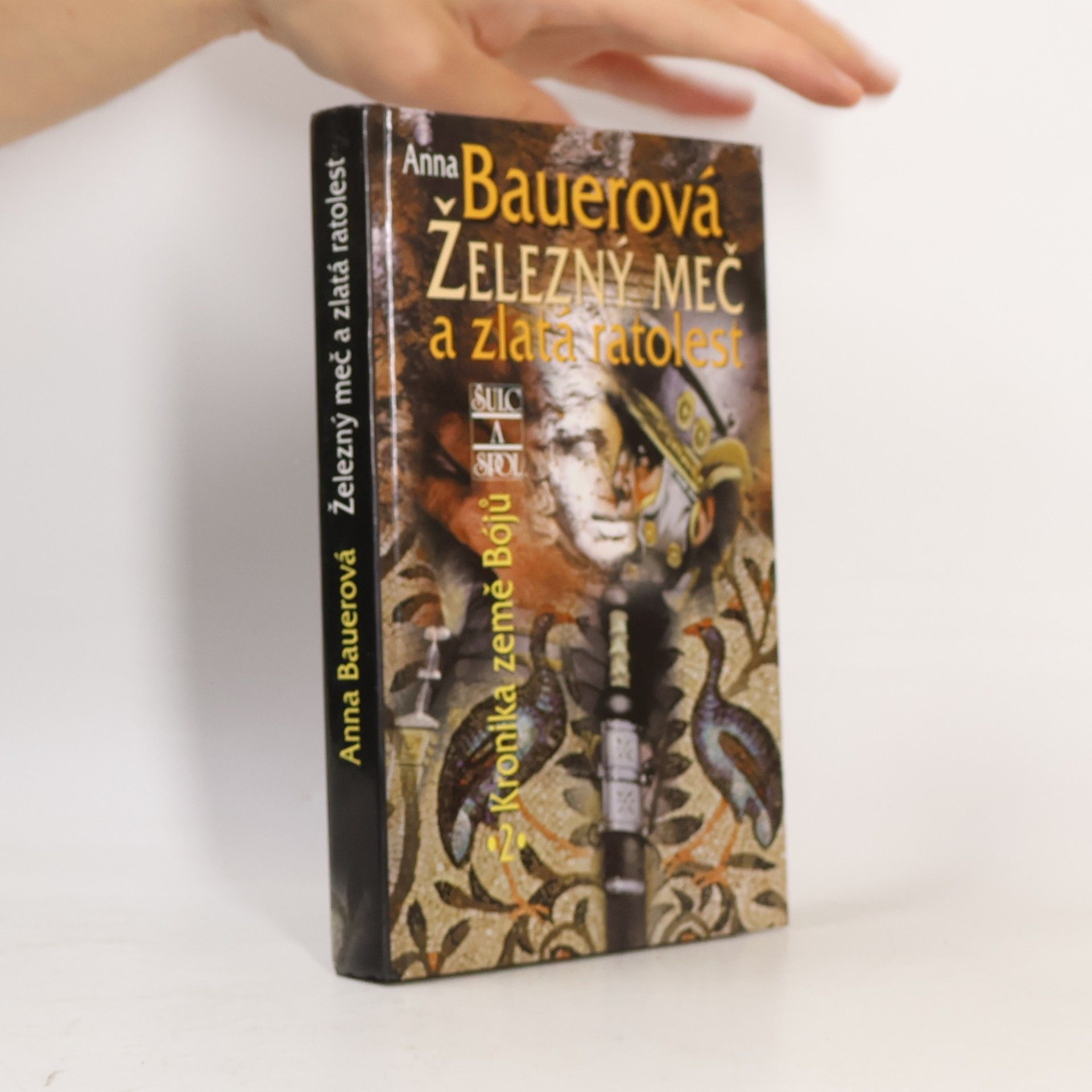 Anna Bauer Železný meč a zlatá ratolest: Kronika země Bójů, 2
