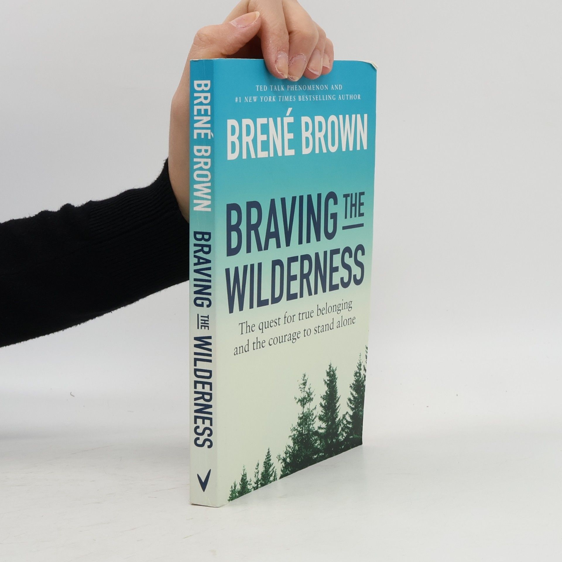 Brené Brown Braving the Wilderness