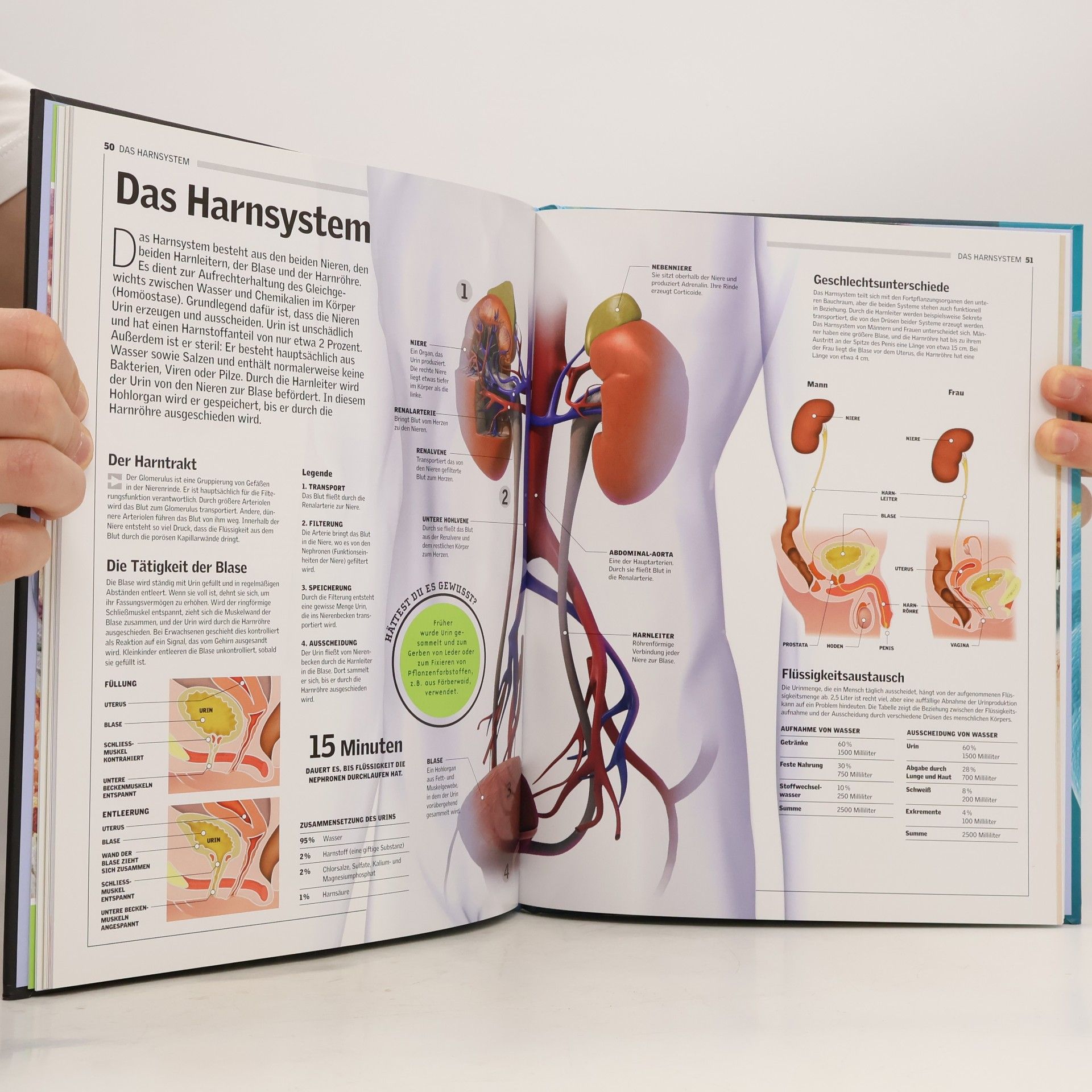 kolektiv Unser Körper