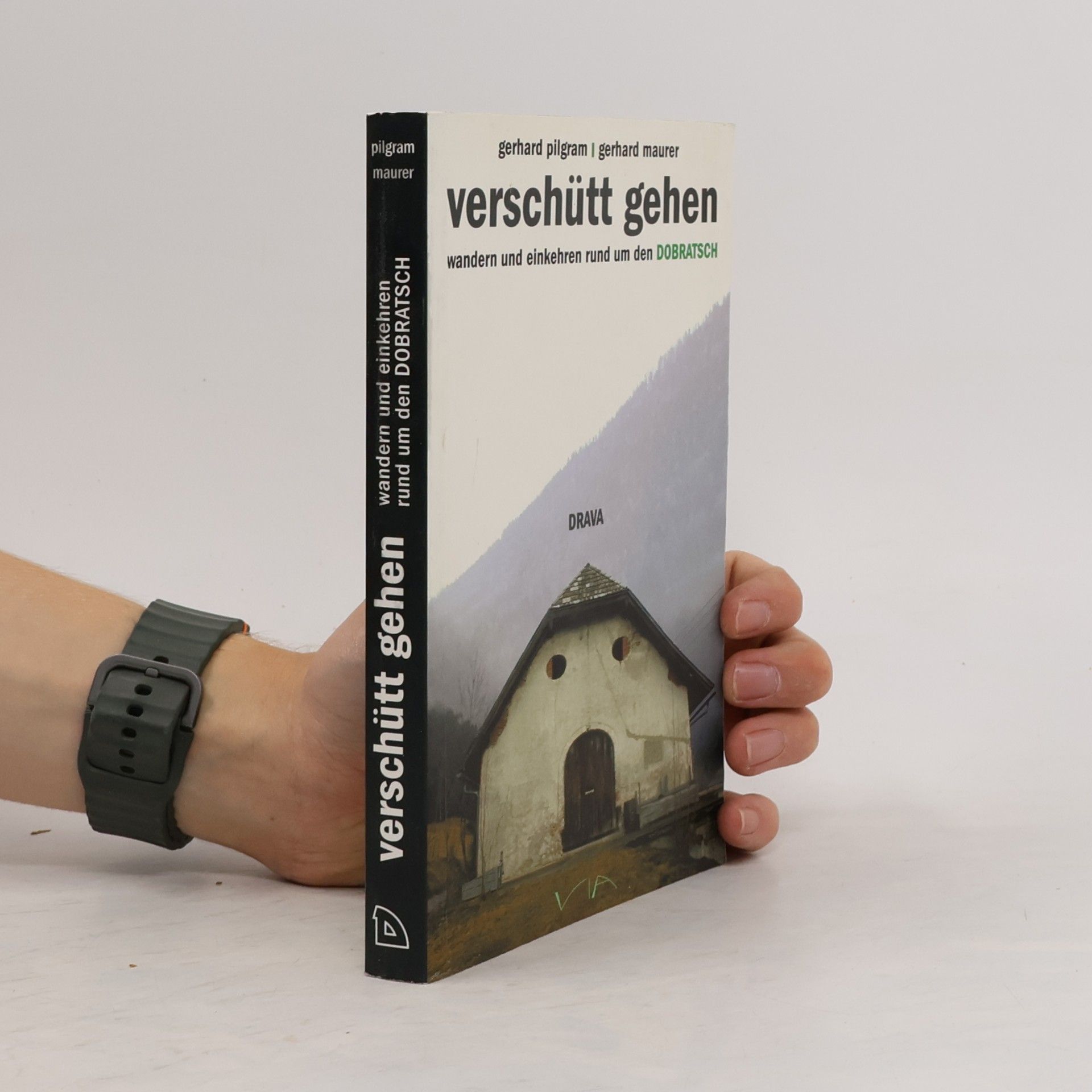 Gerhard Pilgram Verschütt gehen