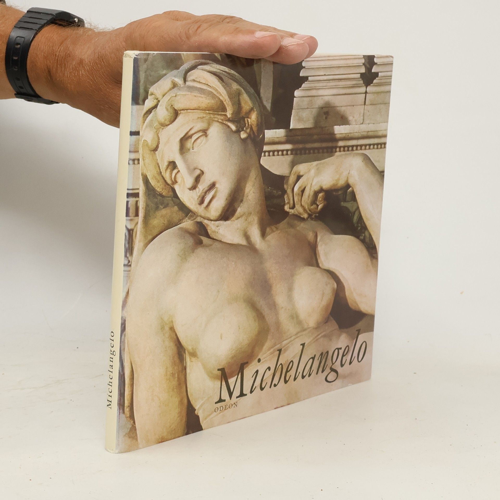 Michelangelo