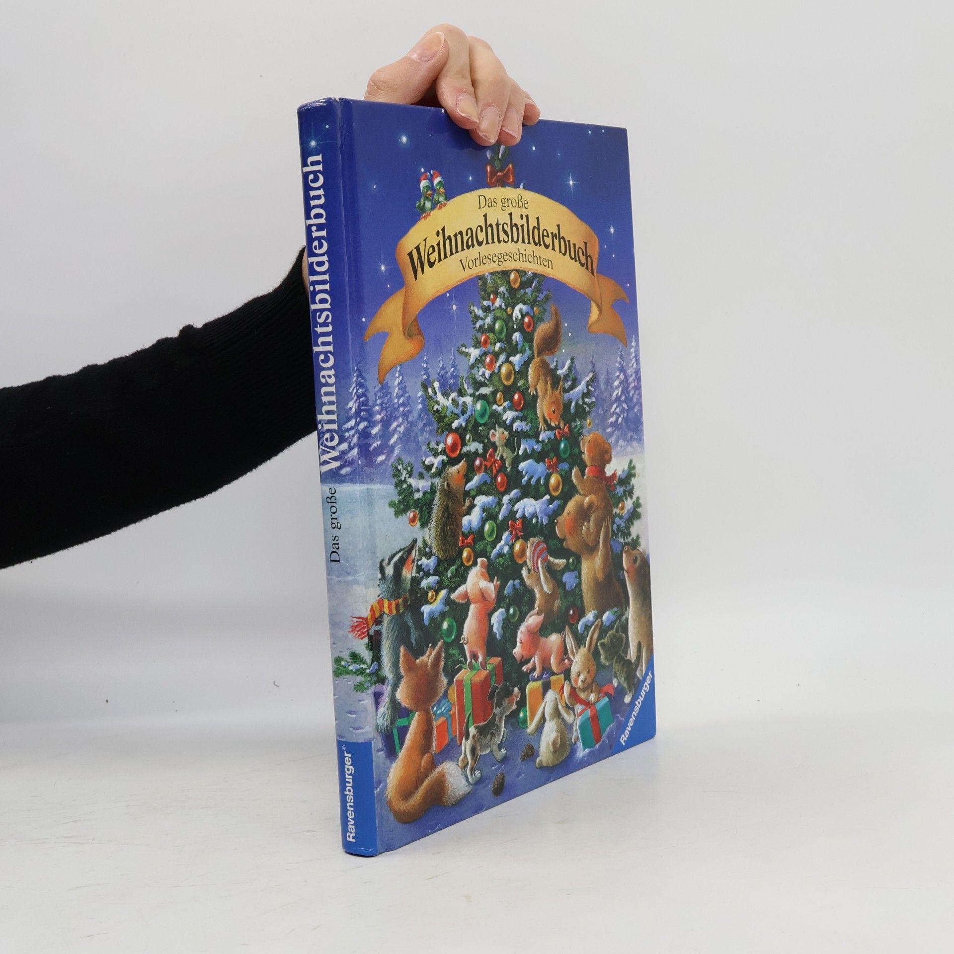 Karin Amann Das große Weihnachtsbilderbuch