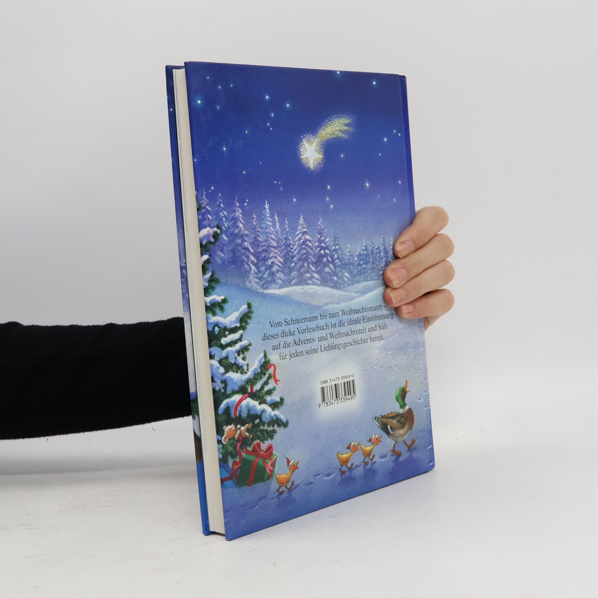 Karin Amann Das große Weihnachtsbilderbuch