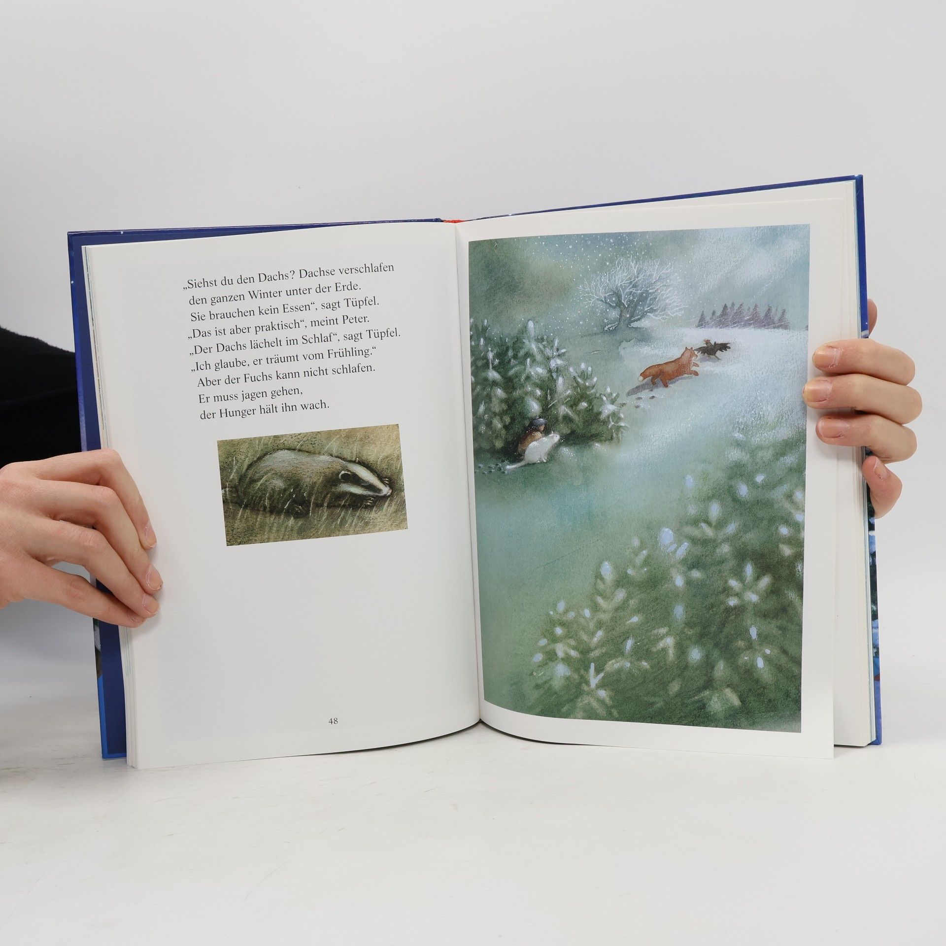 Karin Amann Das große Weihnachtsbilderbuch