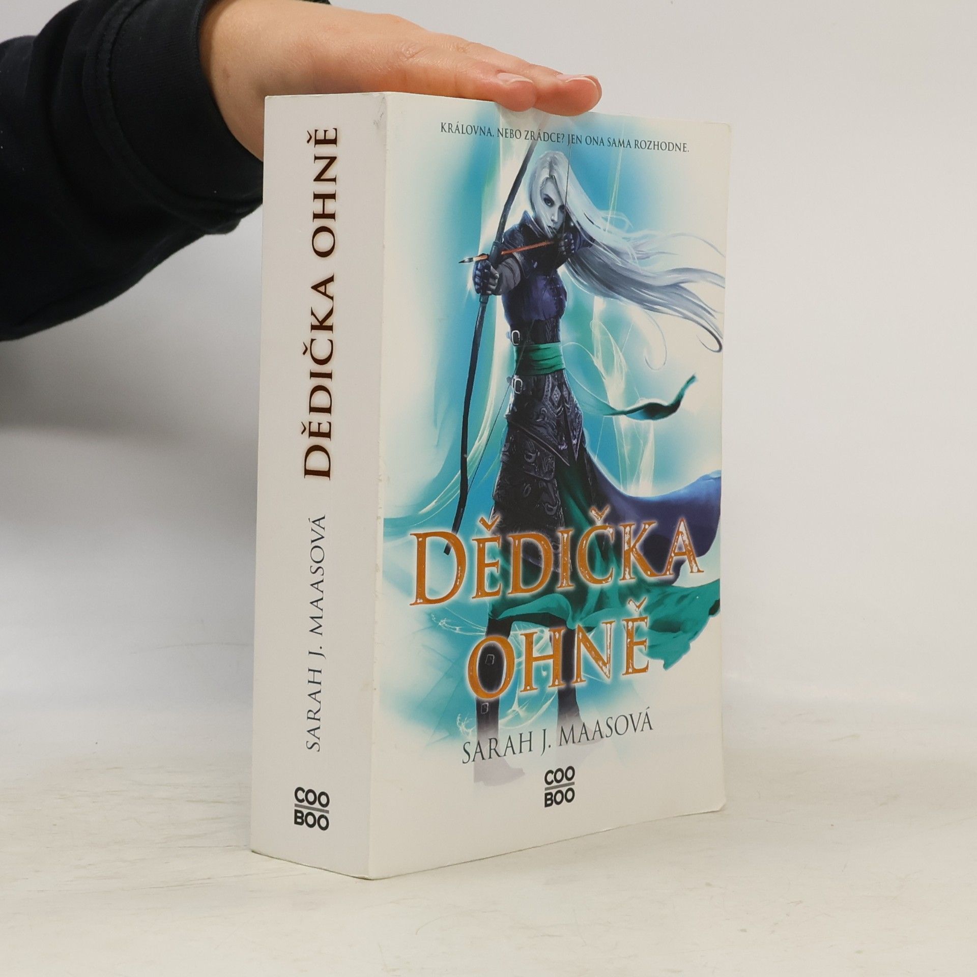 Sarah J. Maas Dědička ohně
