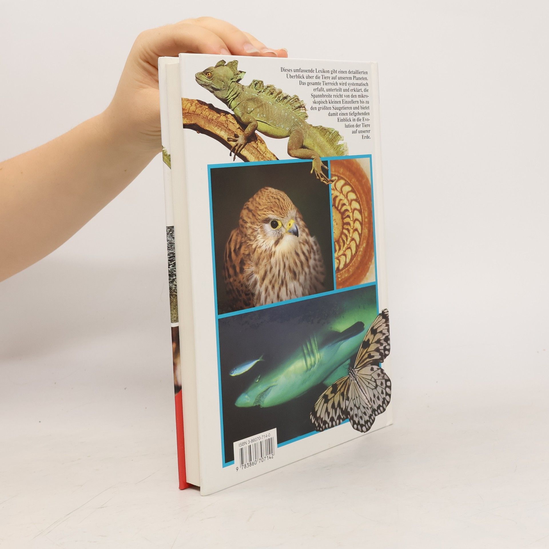 Zdeněk Veselovský Das große farbige Handbuch der Tiere
