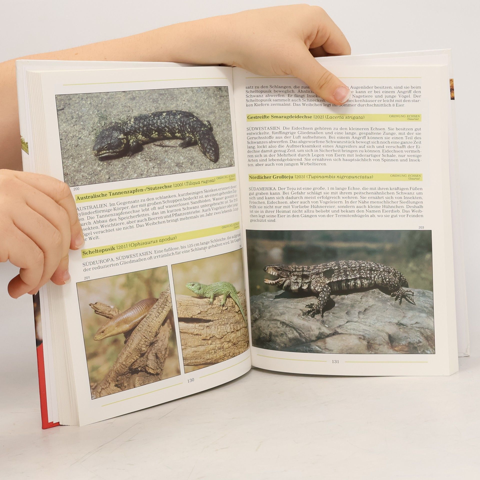 Zdeněk Veselovský Das große farbige Handbuch der Tiere