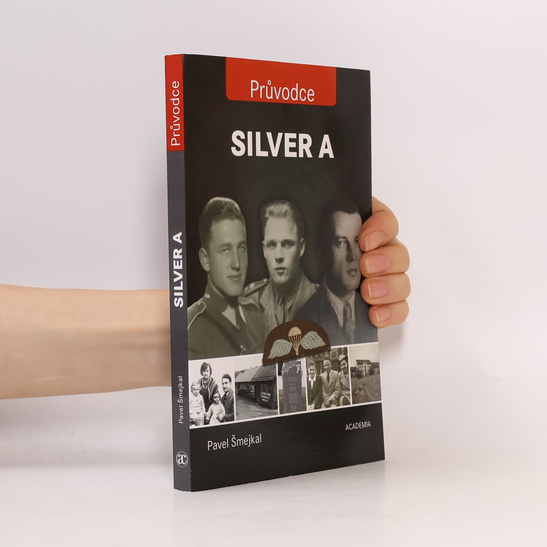 Pavel Šmejkal Silver A