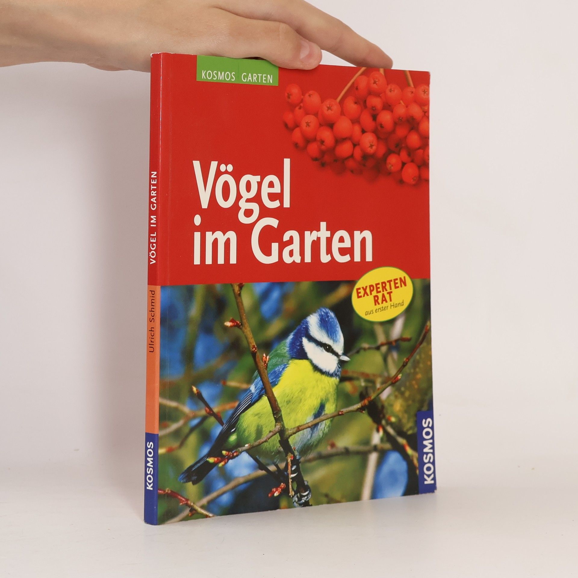 Ulrich Schmid Vögel im Garten