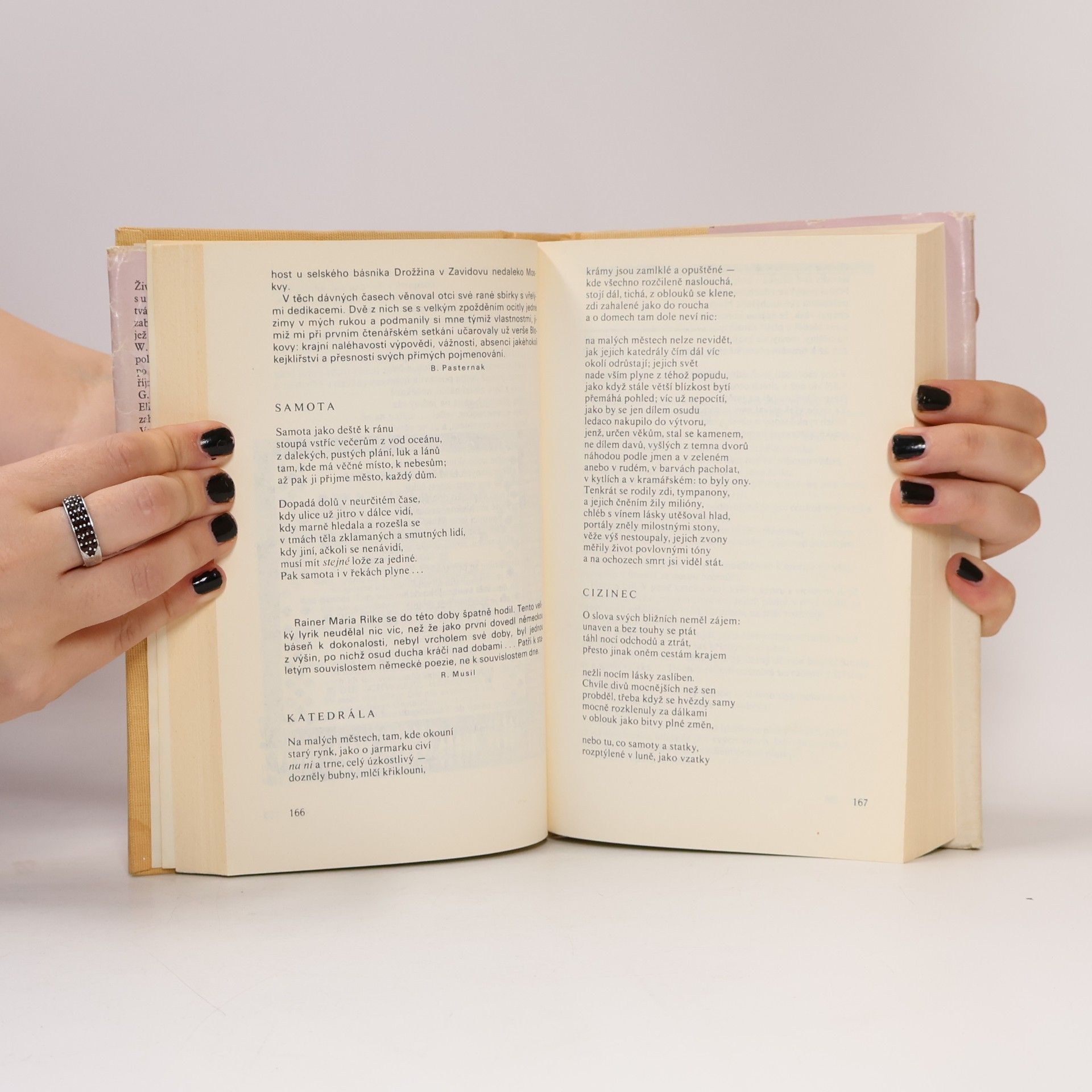 Jiří Honzík Poezie přelomu století