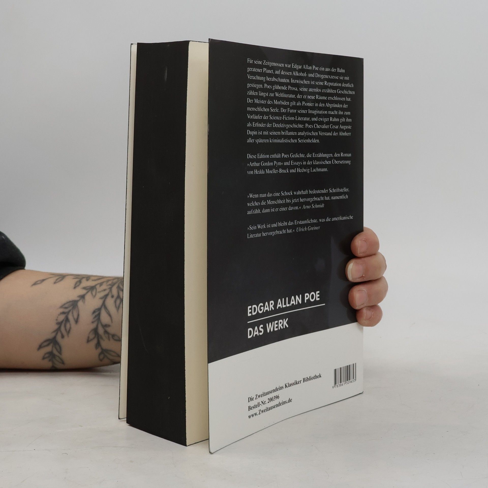 Edgar Allan Poe Das Werk. Gedichte, Essays, Erzählungen und der Roman „Arthur Gordon Pym“.