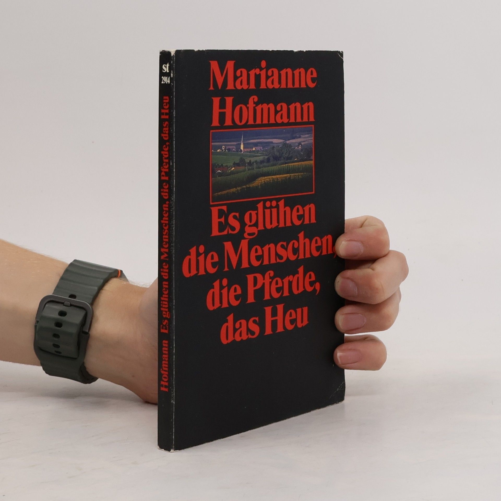 Marianne Hofmann Es glühen die Menschen, die Pferde, das Heu
