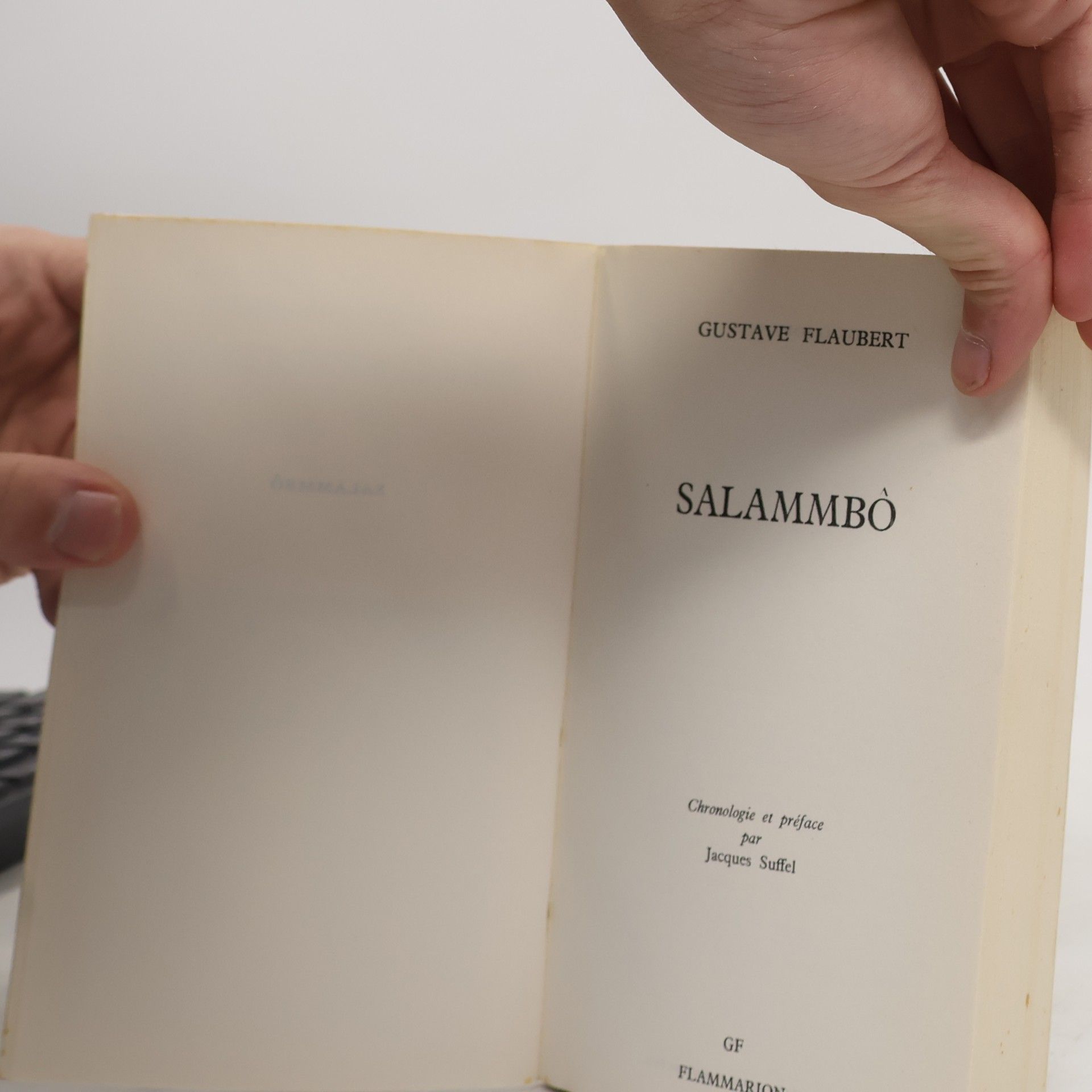 Gustave Flaubert Salammbô