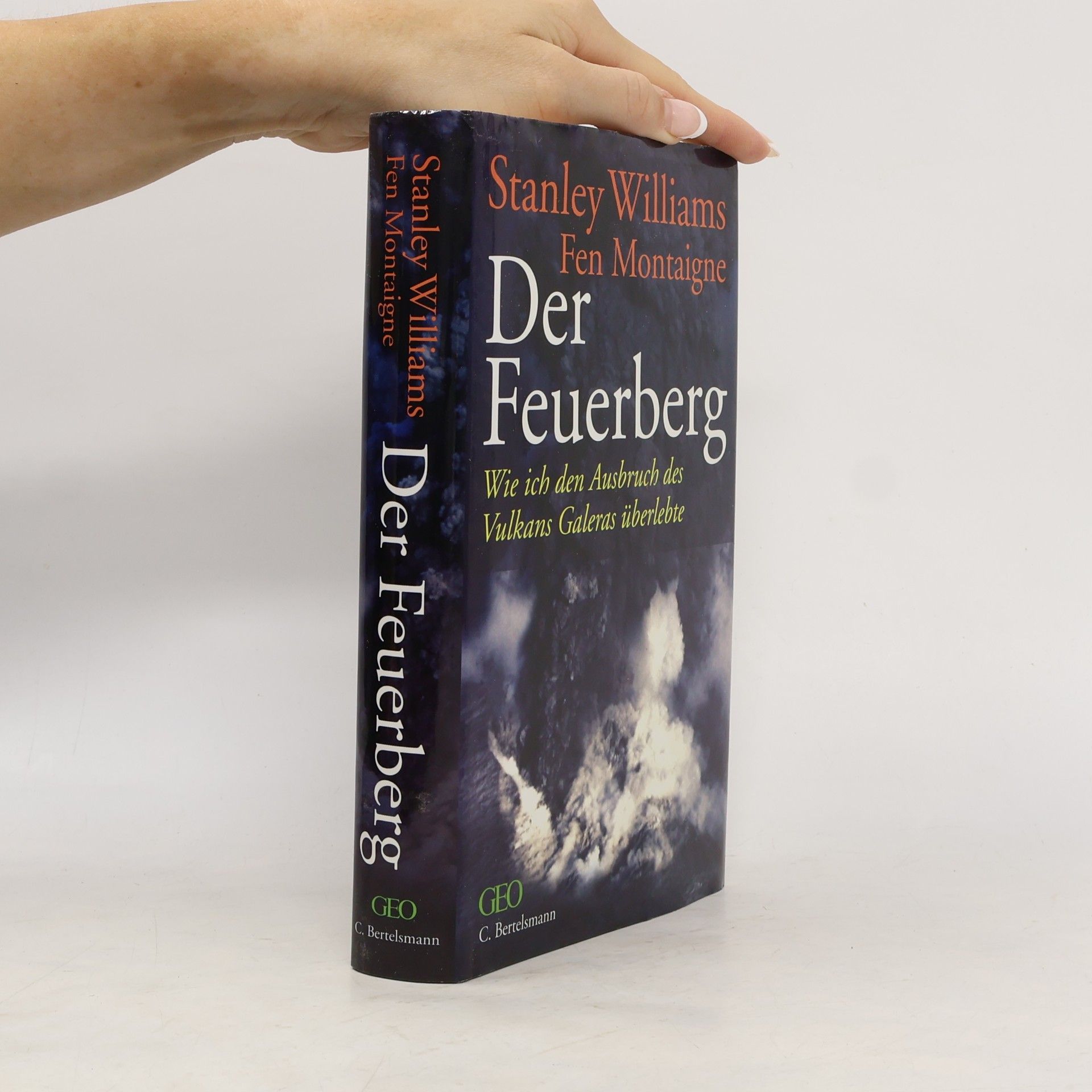 Stanley Williams Der Feuerberg