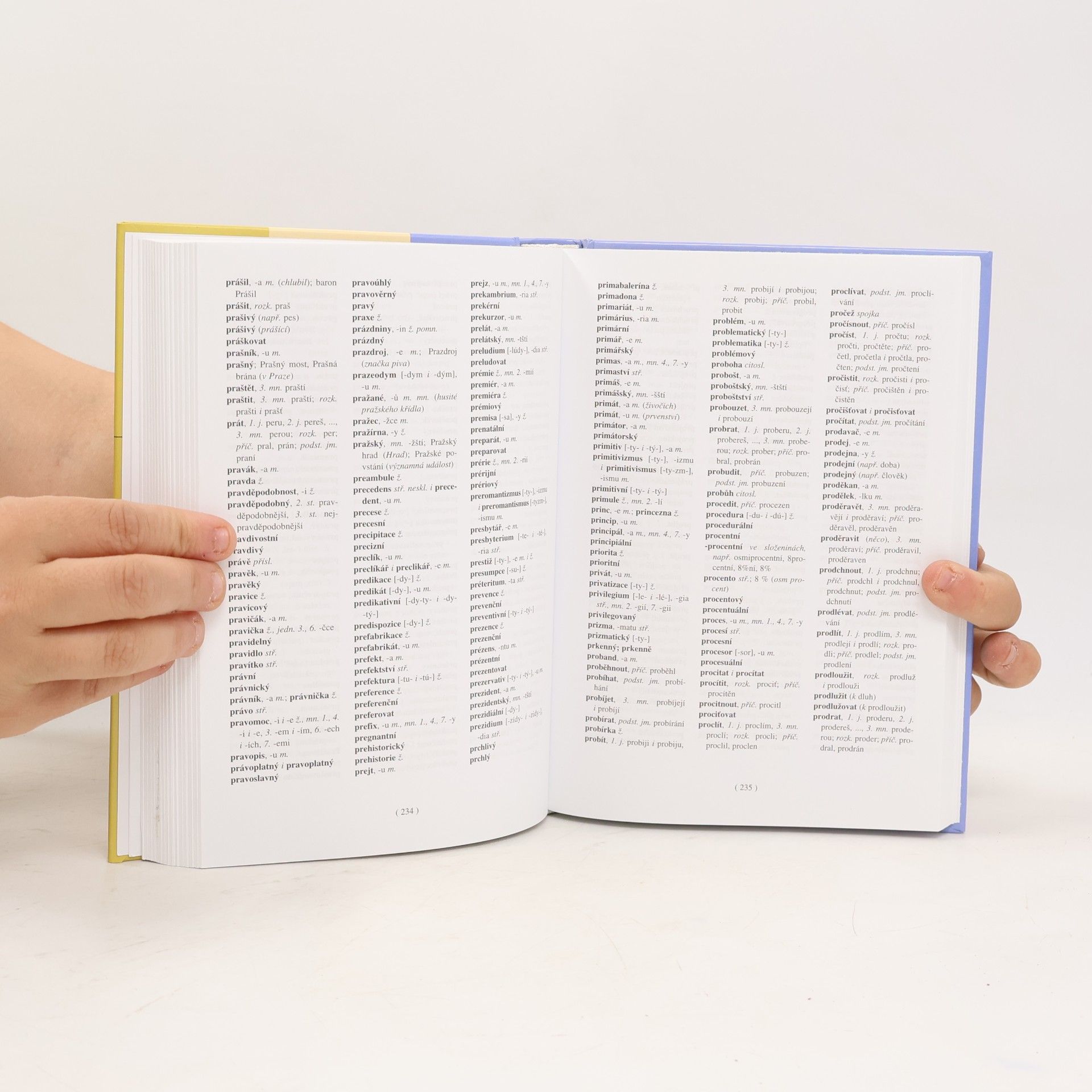 Autorenkollektiv Pravidla českého pravopisu
