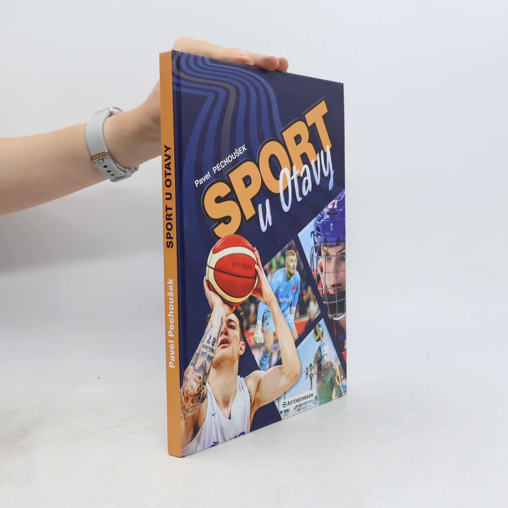 Pavel Pechoušek Sport u Otavy