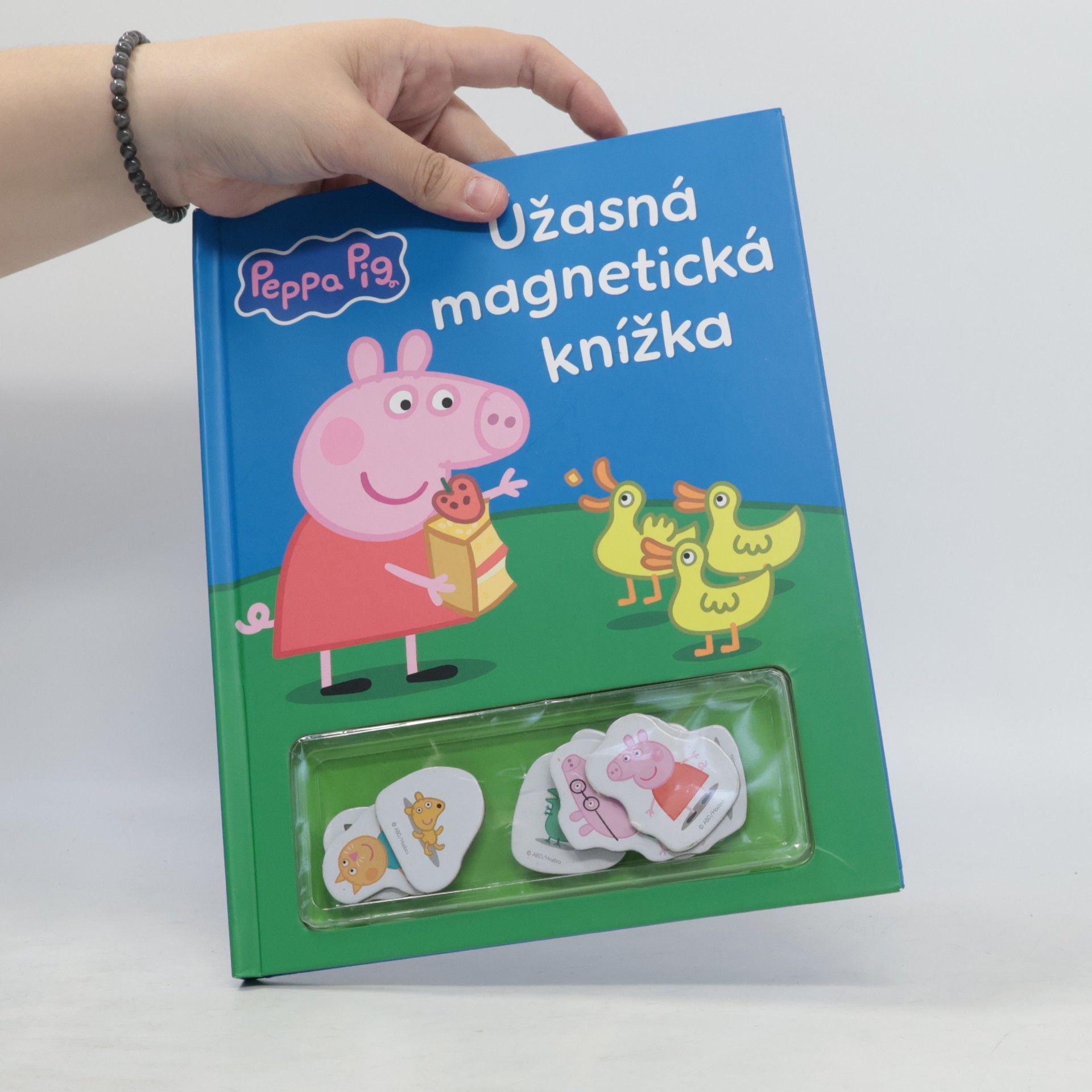 Neville Astley Úžasná magnetická knížka